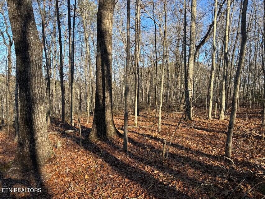 0 Deerhead Road Dunlap TN 37327