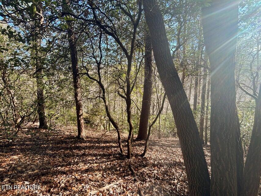 0 Deerhead Road Dunlap TN 37327