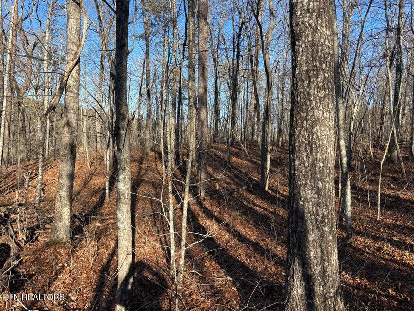 0 Deerhead Road Dunlap TN 37327