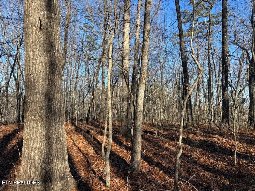0 Deerhead Road Dunlap TN 37327