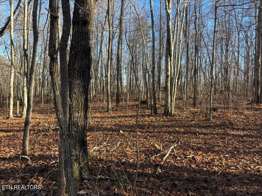 0 Deerhead Road Dunlap TN 37327