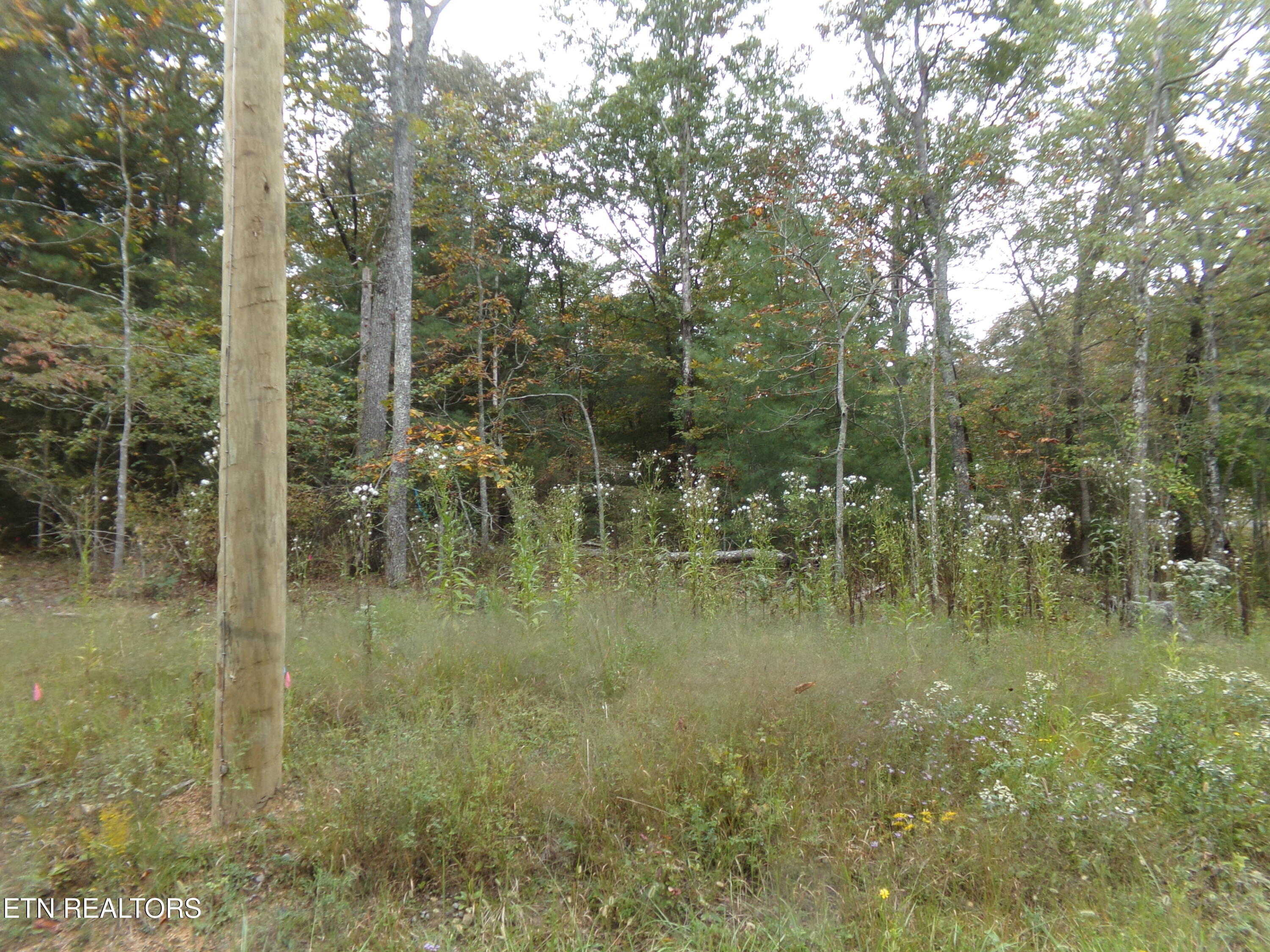 7039&7041 Ute Lane Crossville TN 38572