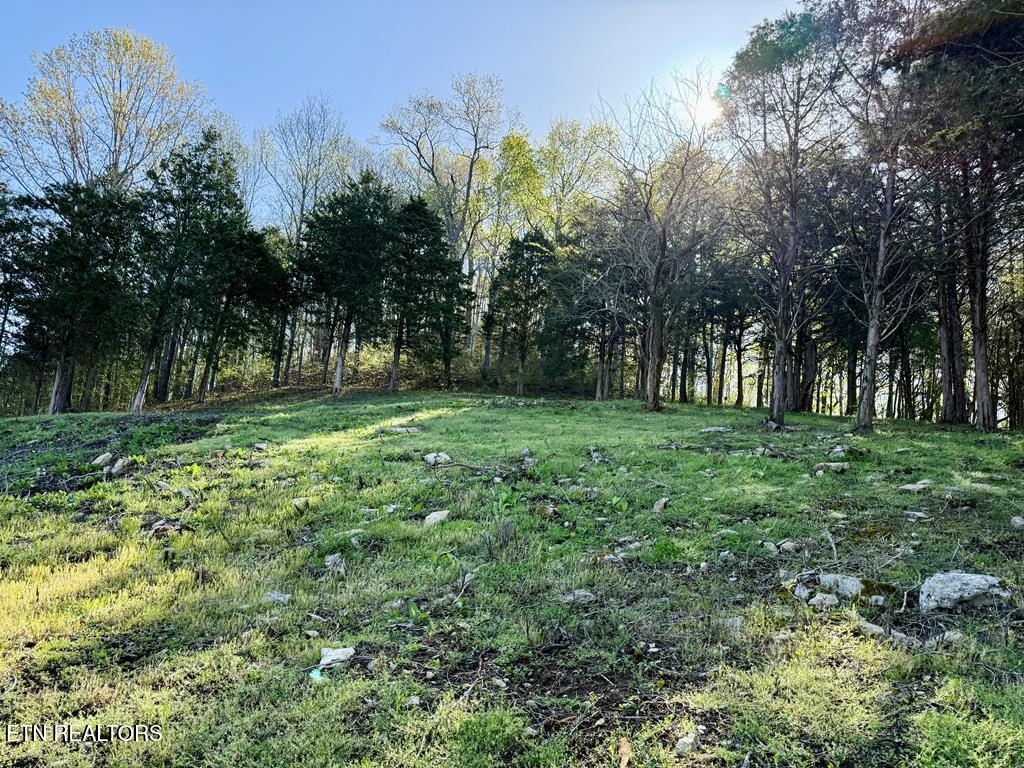 Harbor Pointe Drive Silver Point TN 38582