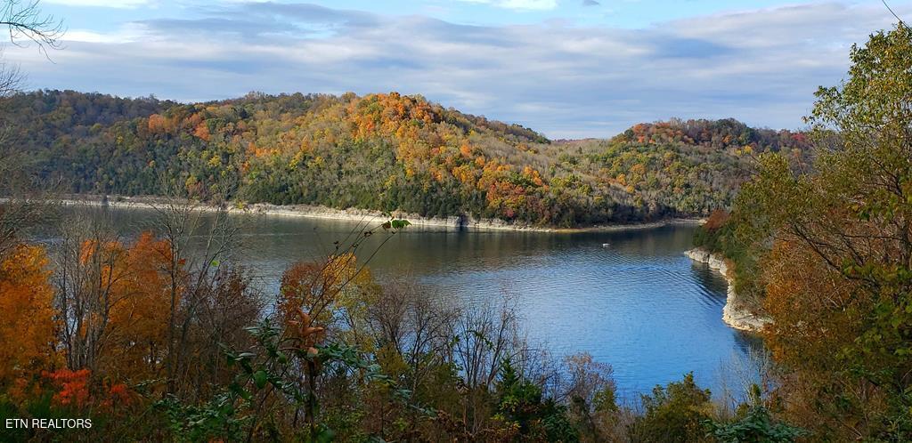 Harbor Pointe Drive Silver Point TN 38582
