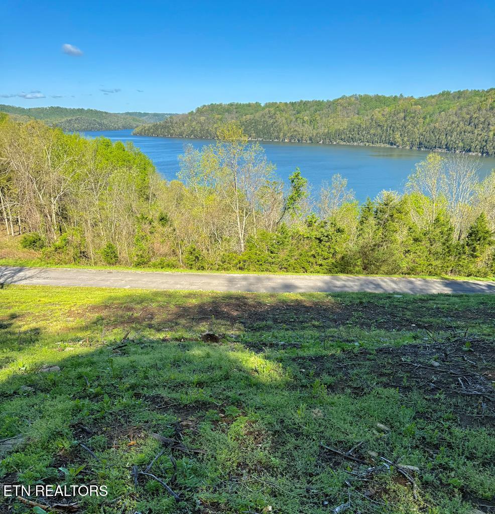 Harbor Pointe Drive Silver Point TN 38582