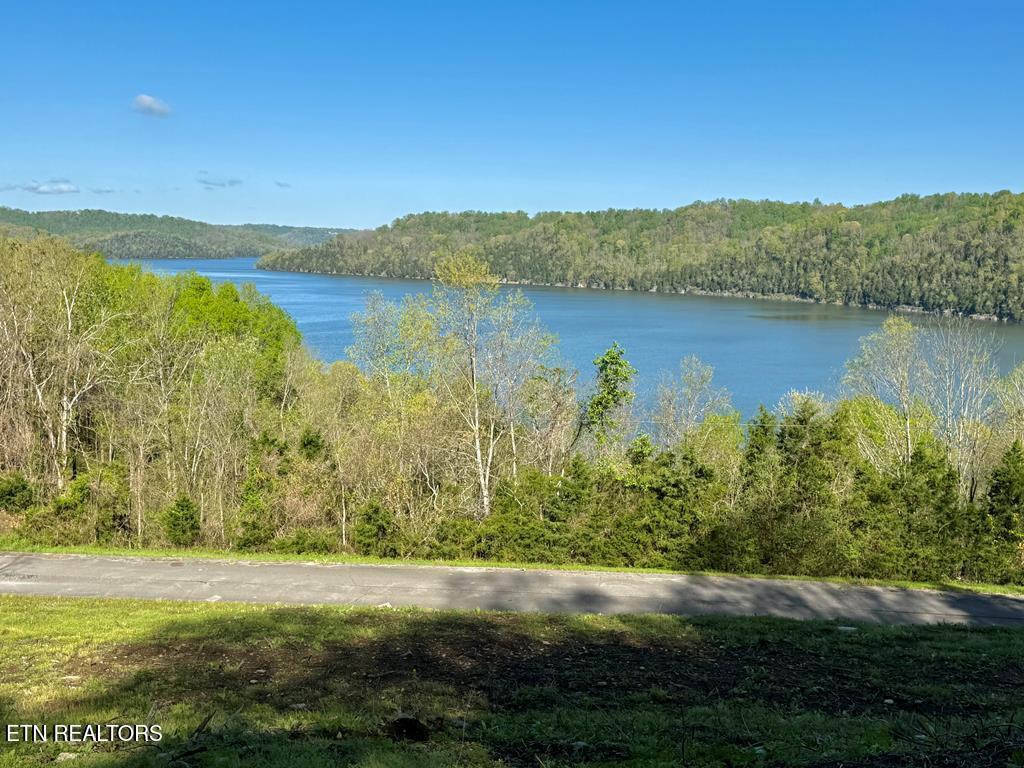Harbor Pointe Drive Silver Point TN 38582