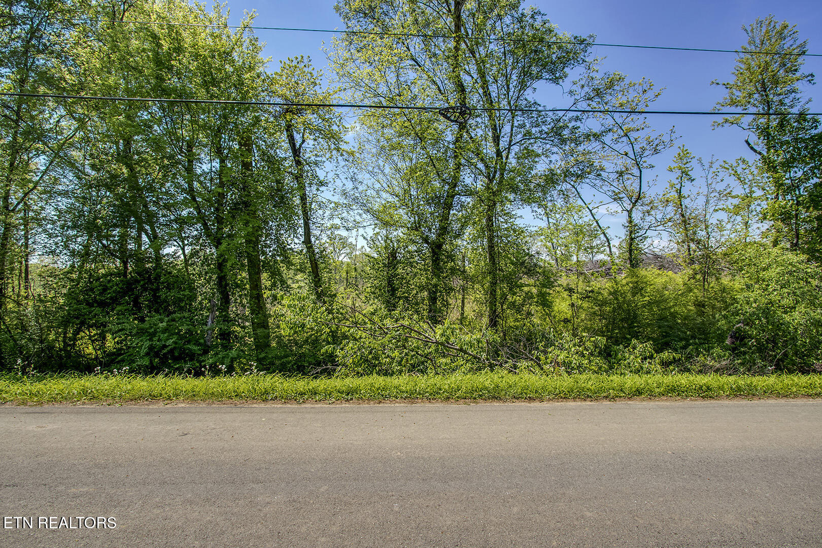 695 Oak Grove Road Decatur TN 37322
