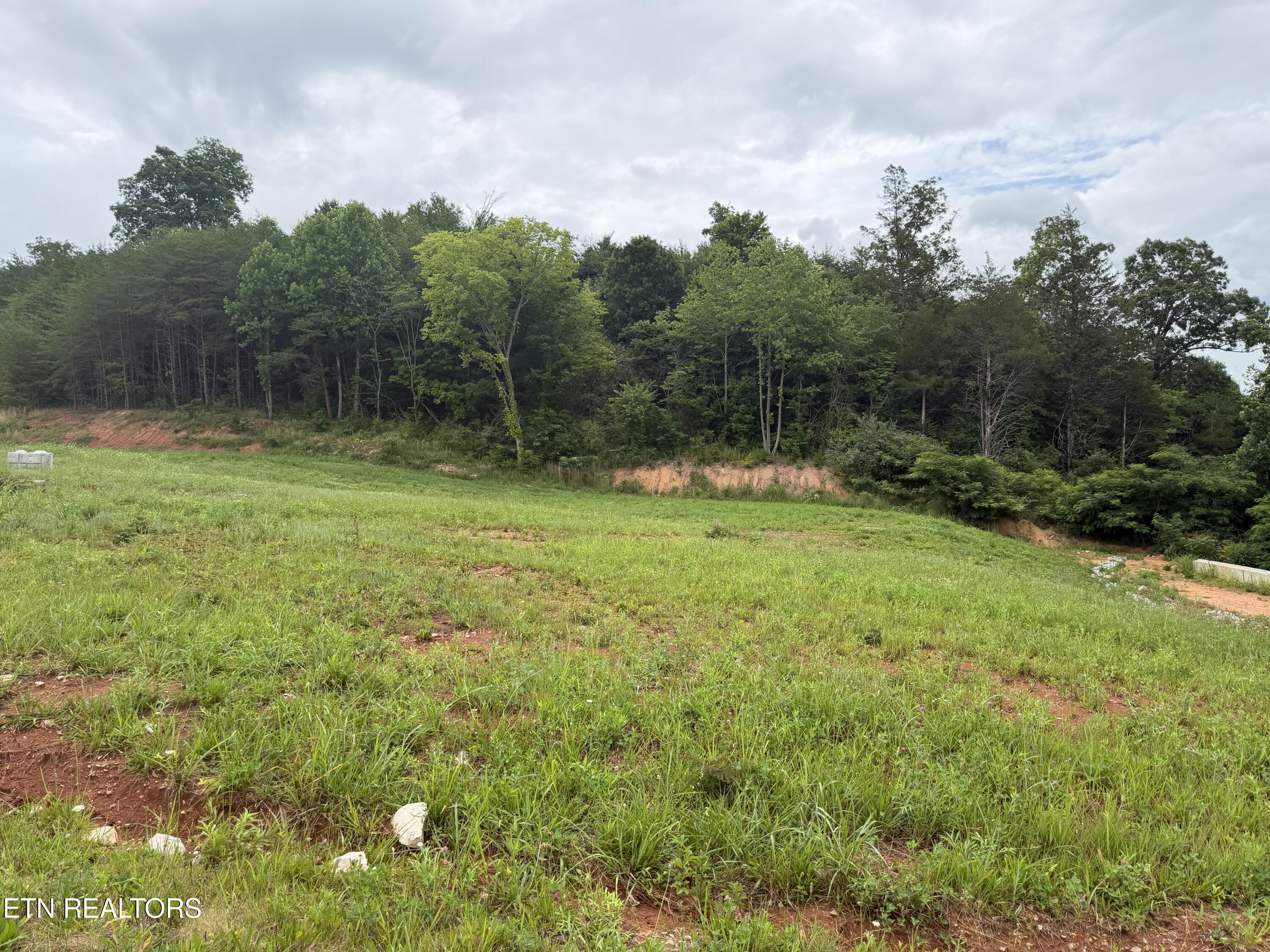 Bear Lane Tellico Plains TN 37385