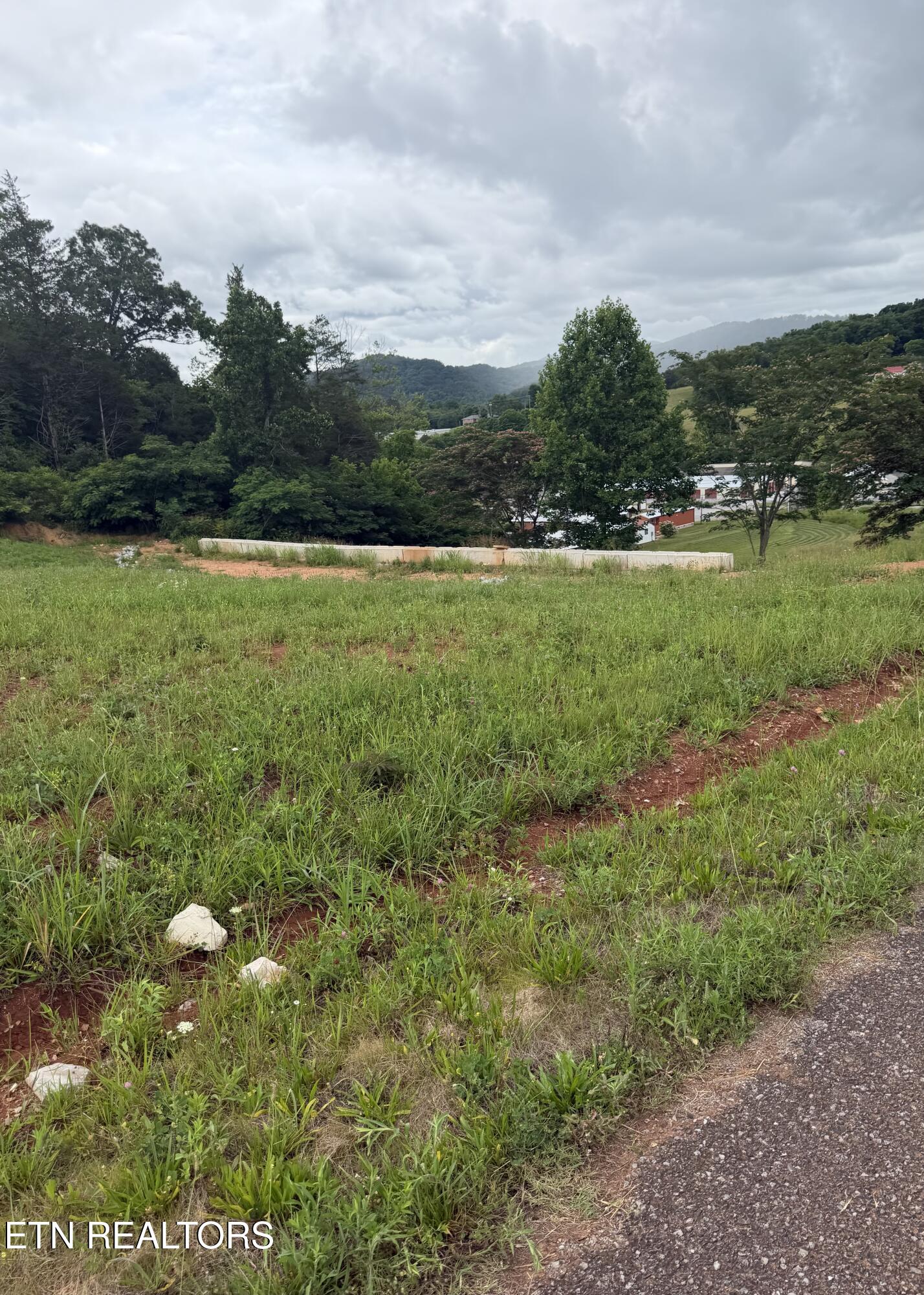 Bear Lane Tellico Plains TN 37385