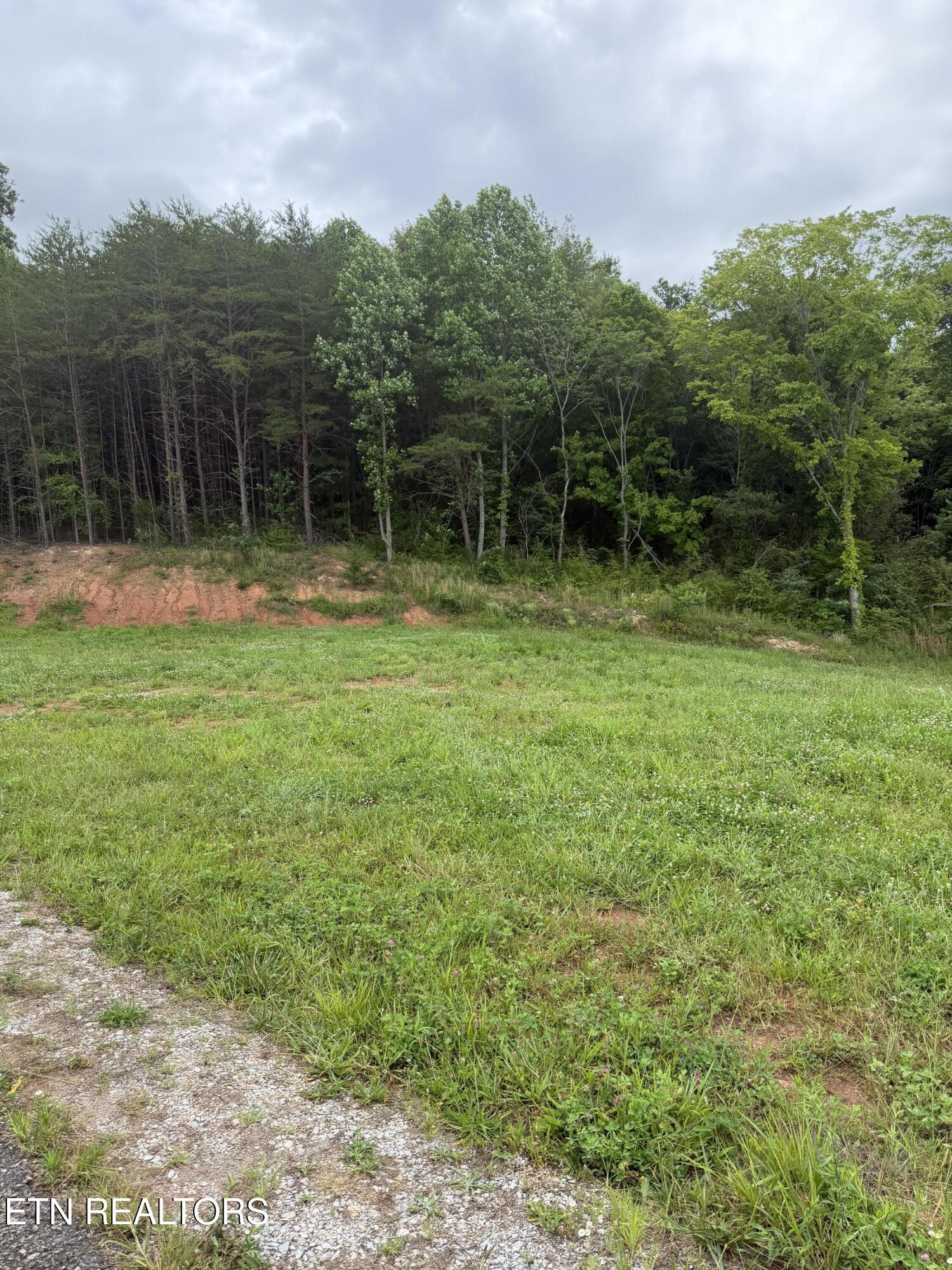 Bear Lane Tellico Plains TN 37385