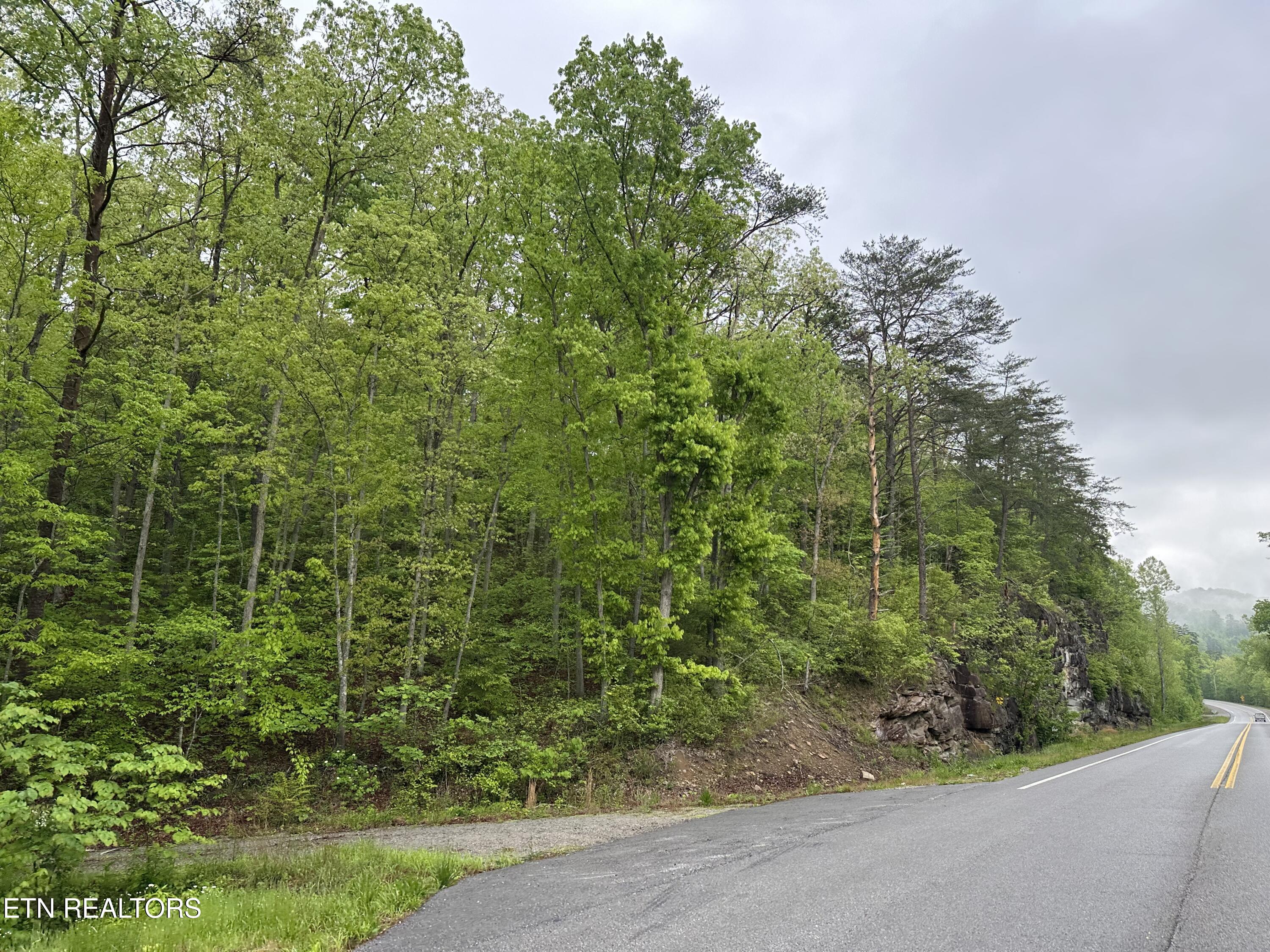 8472 Highway 25 W N Duff TN 37729