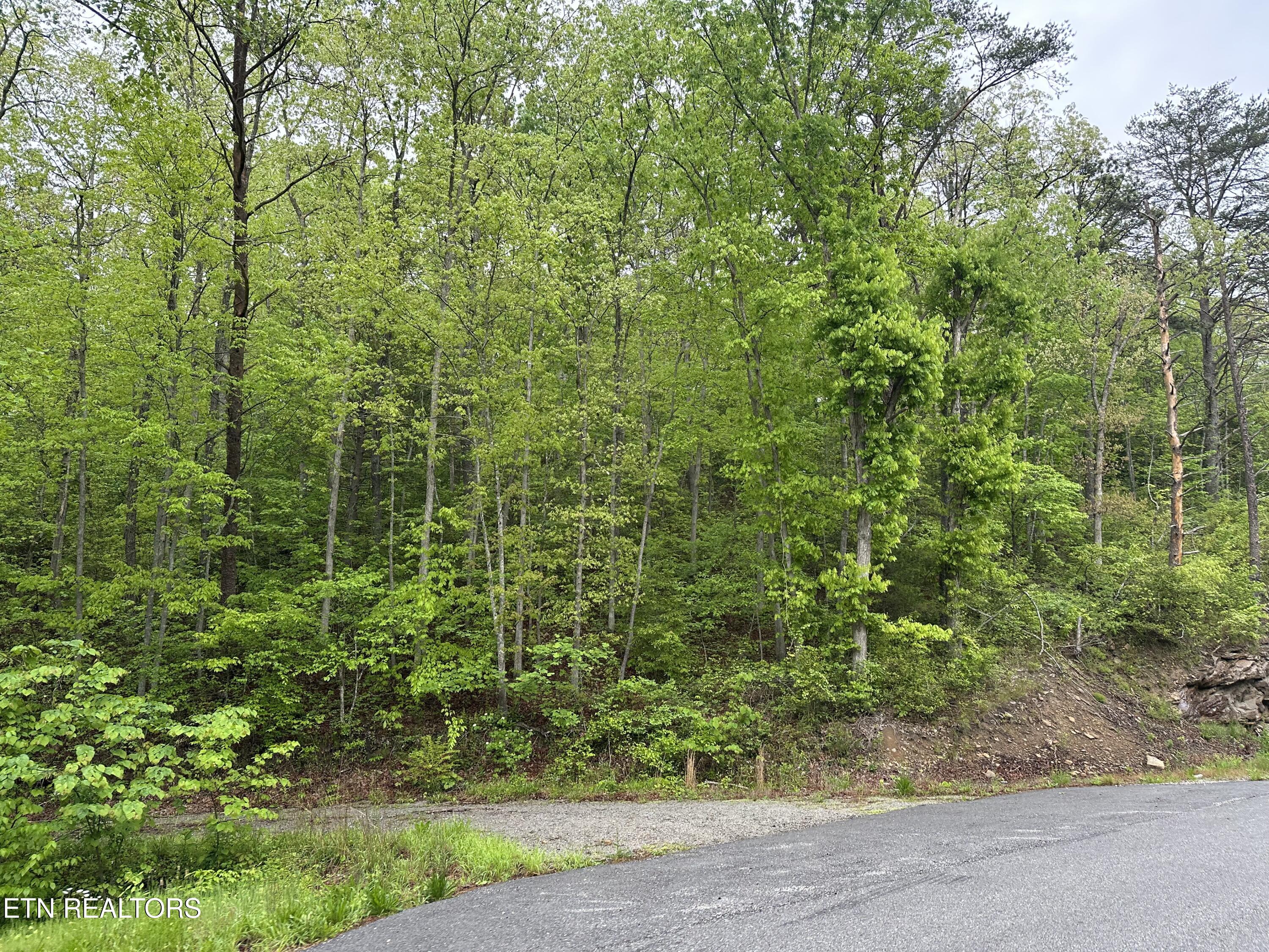 8472 Highway 25 W N Duff TN 37729