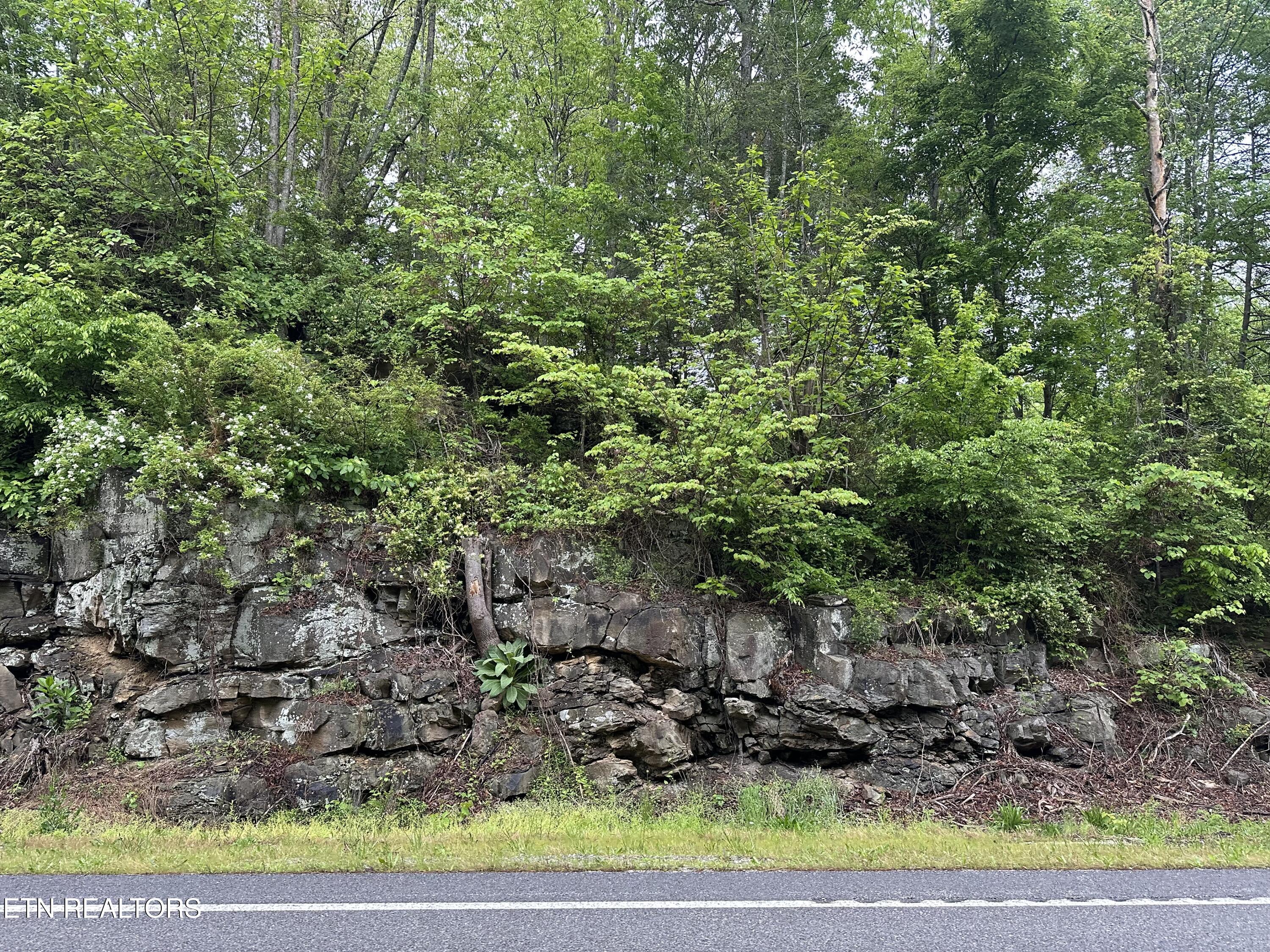 8472 Highway 25 W N Duff TN 37729