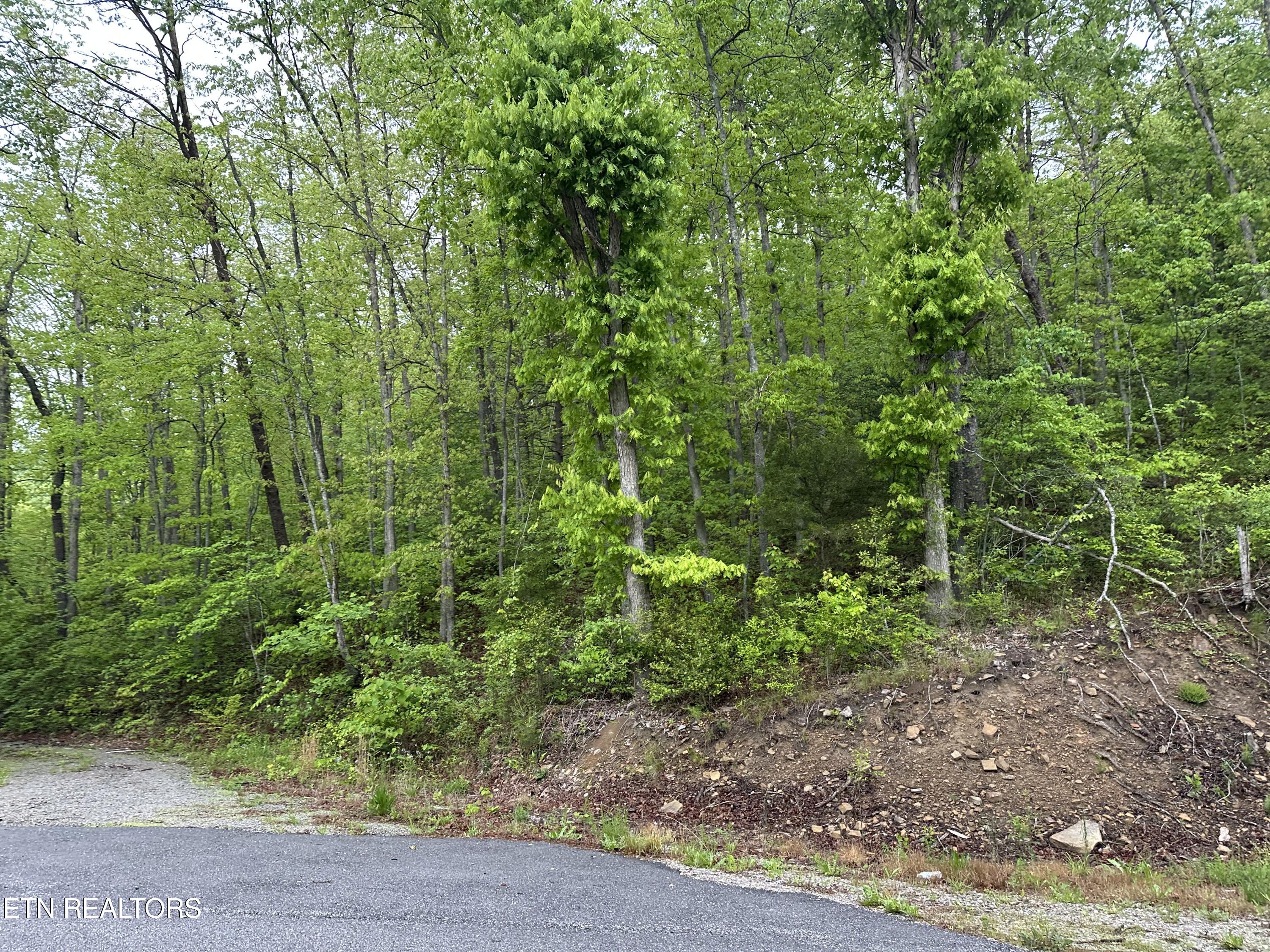 8472 Highway 25 W N Duff TN 37729