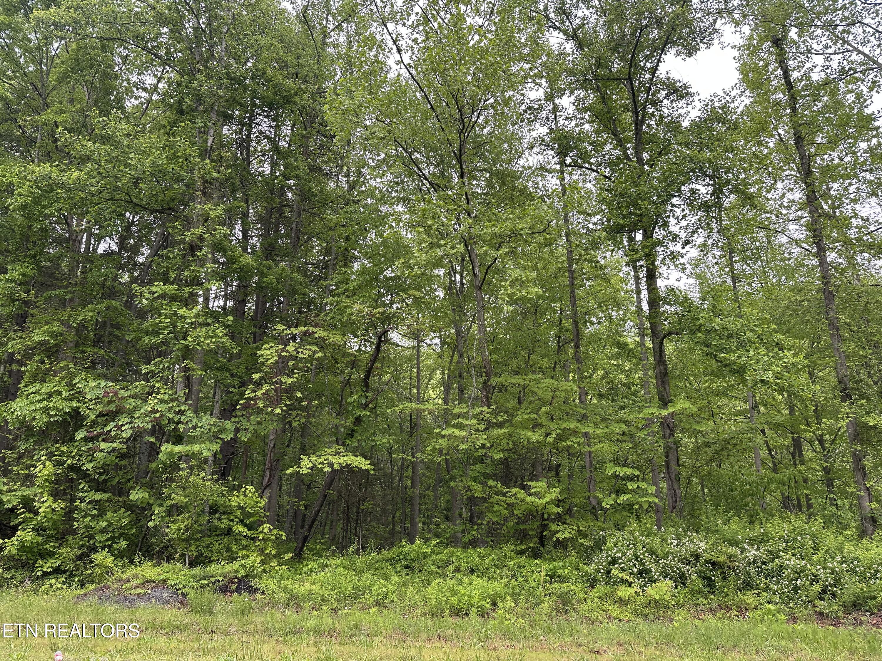 8472 Highway 25 W N Duff TN 37729