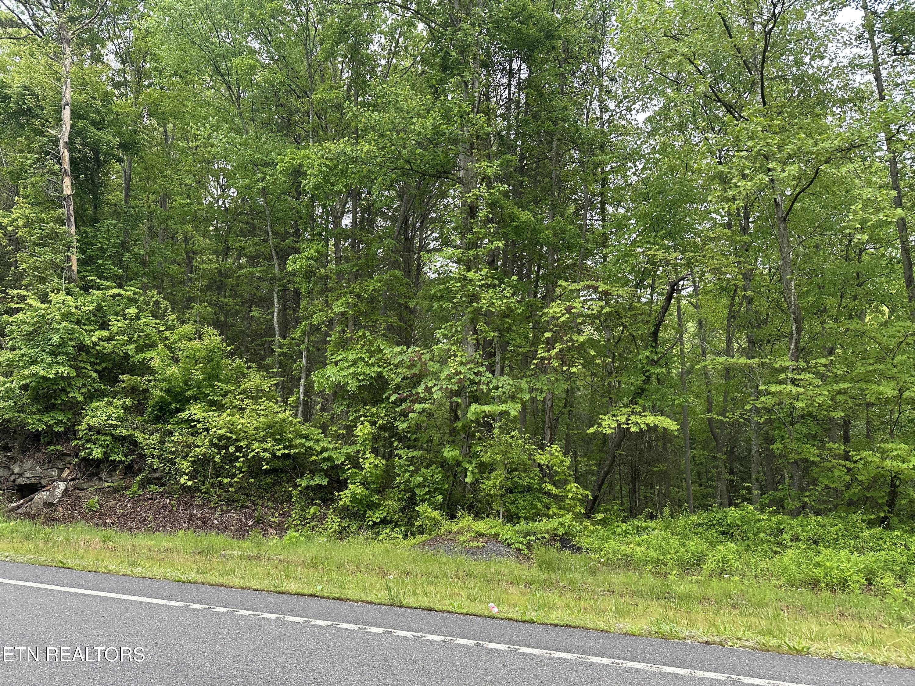 8472 Highway 25 W N Duff TN 37729