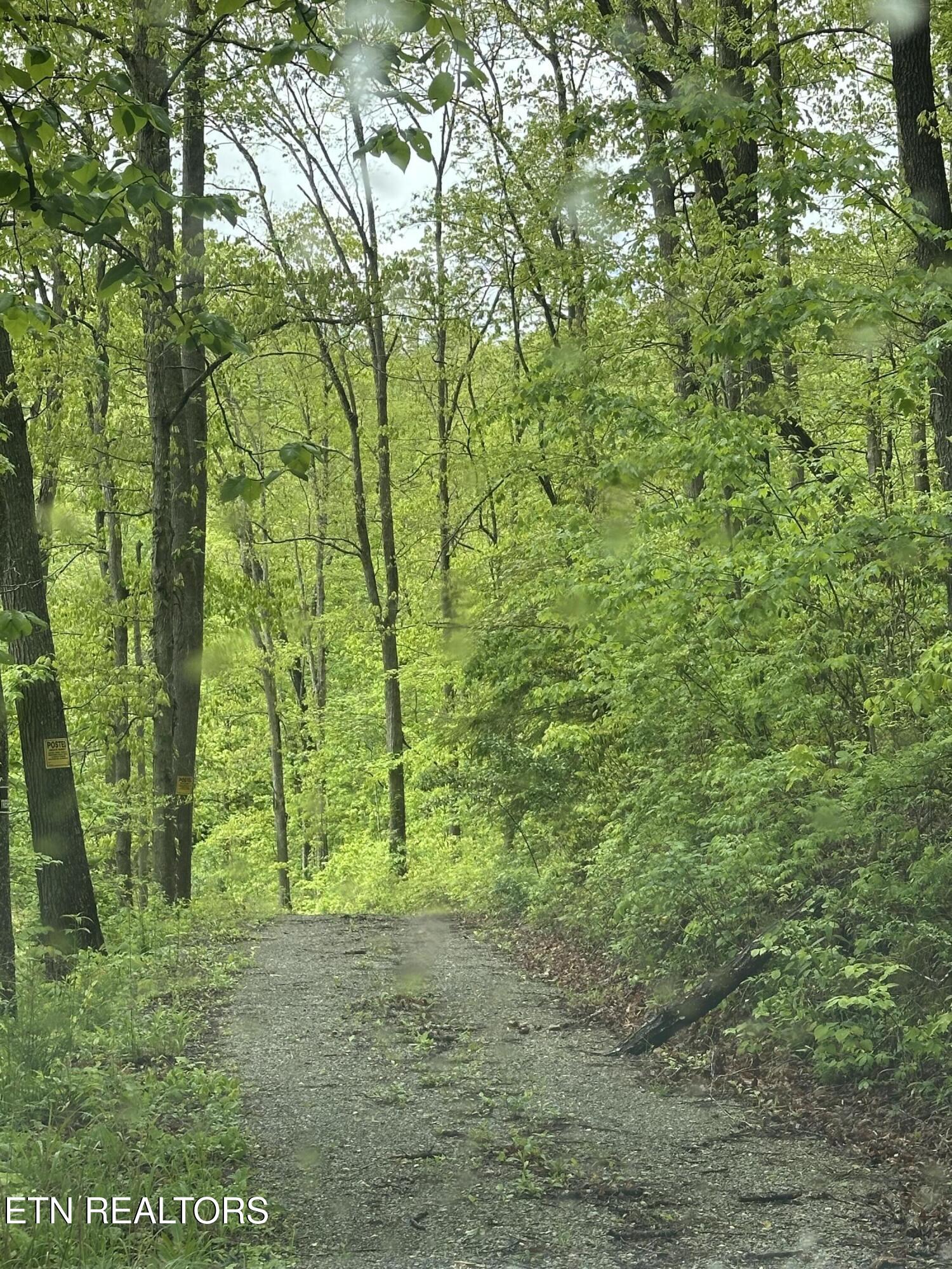 8472 Highway 25 W N Duff TN 37729