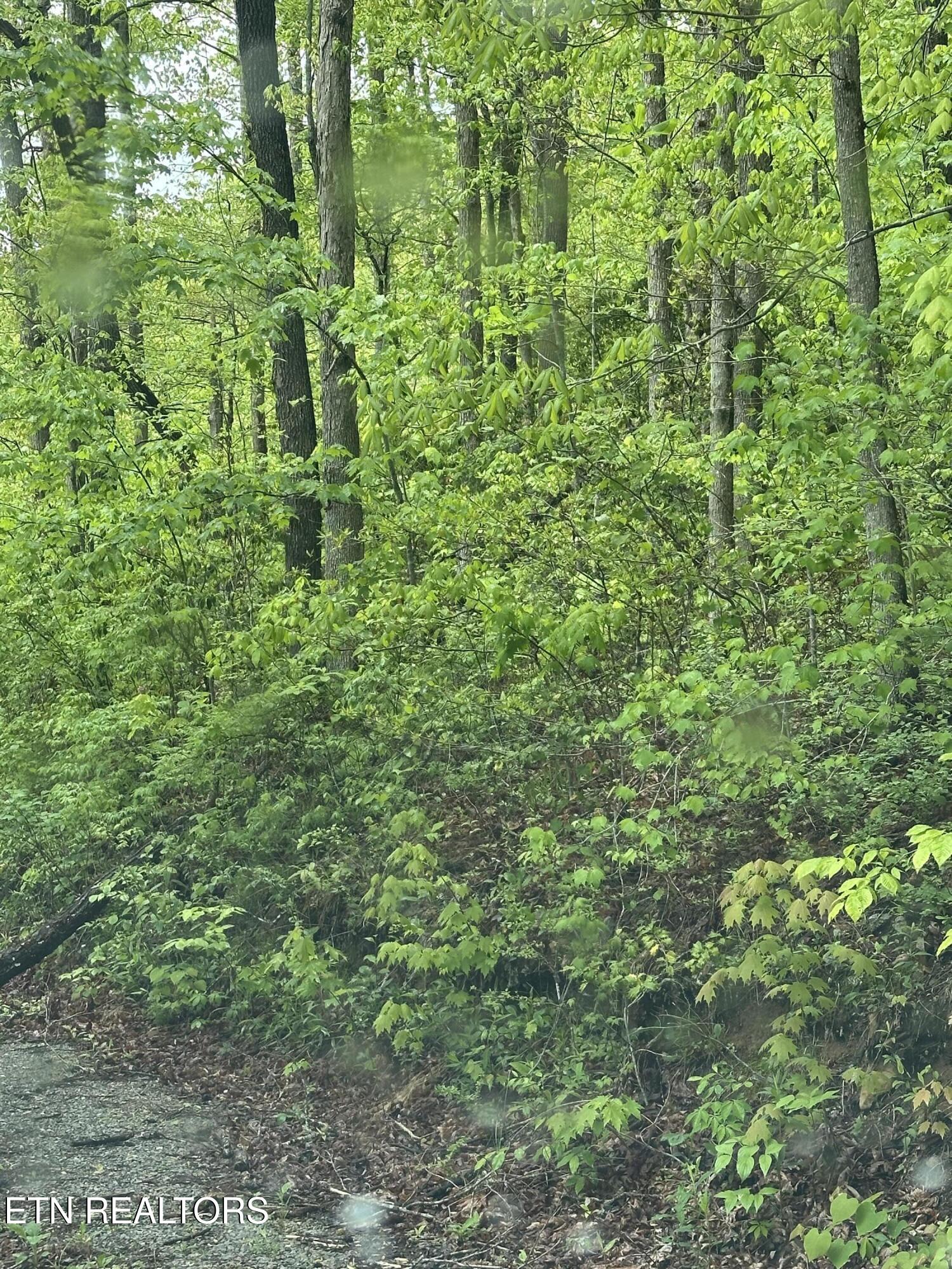 8472 Highway 25 W N Duff TN 37729