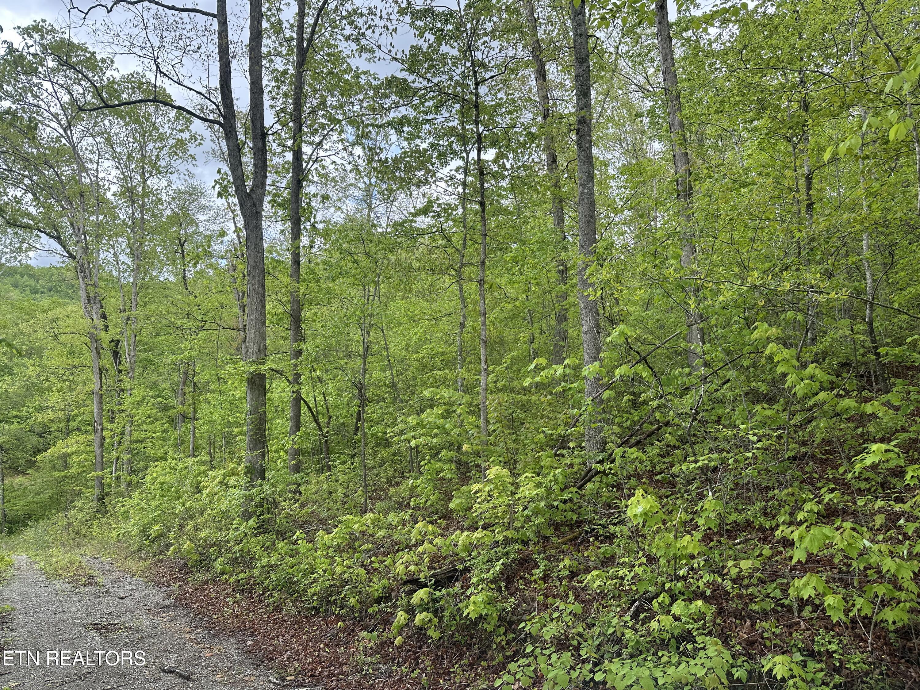 8472 Highway 25 W N Duff TN 37729