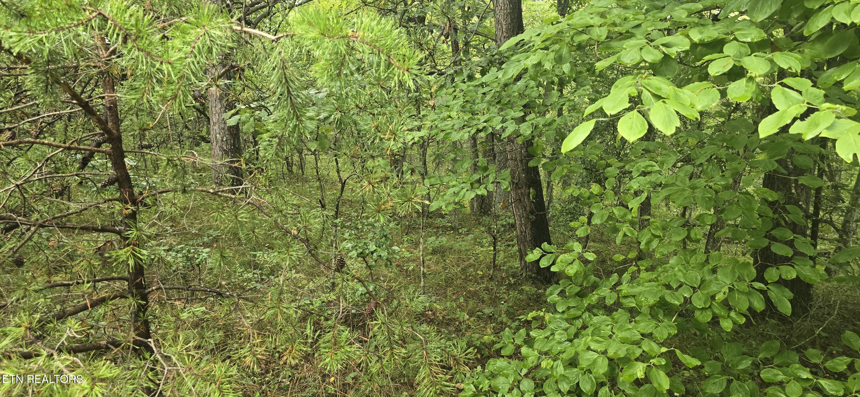 423 Saint George Drive Crossville TN 38558