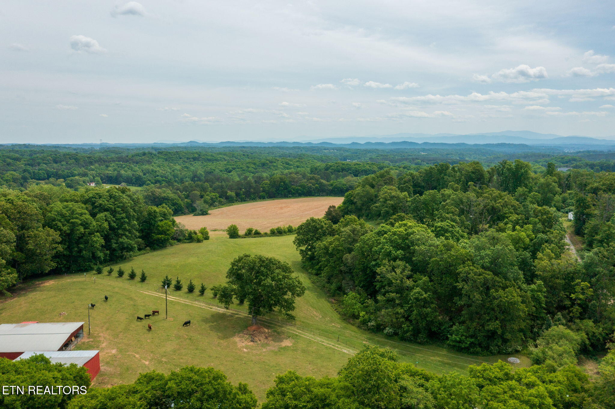 15370 Watson Road Loudon TN 37774