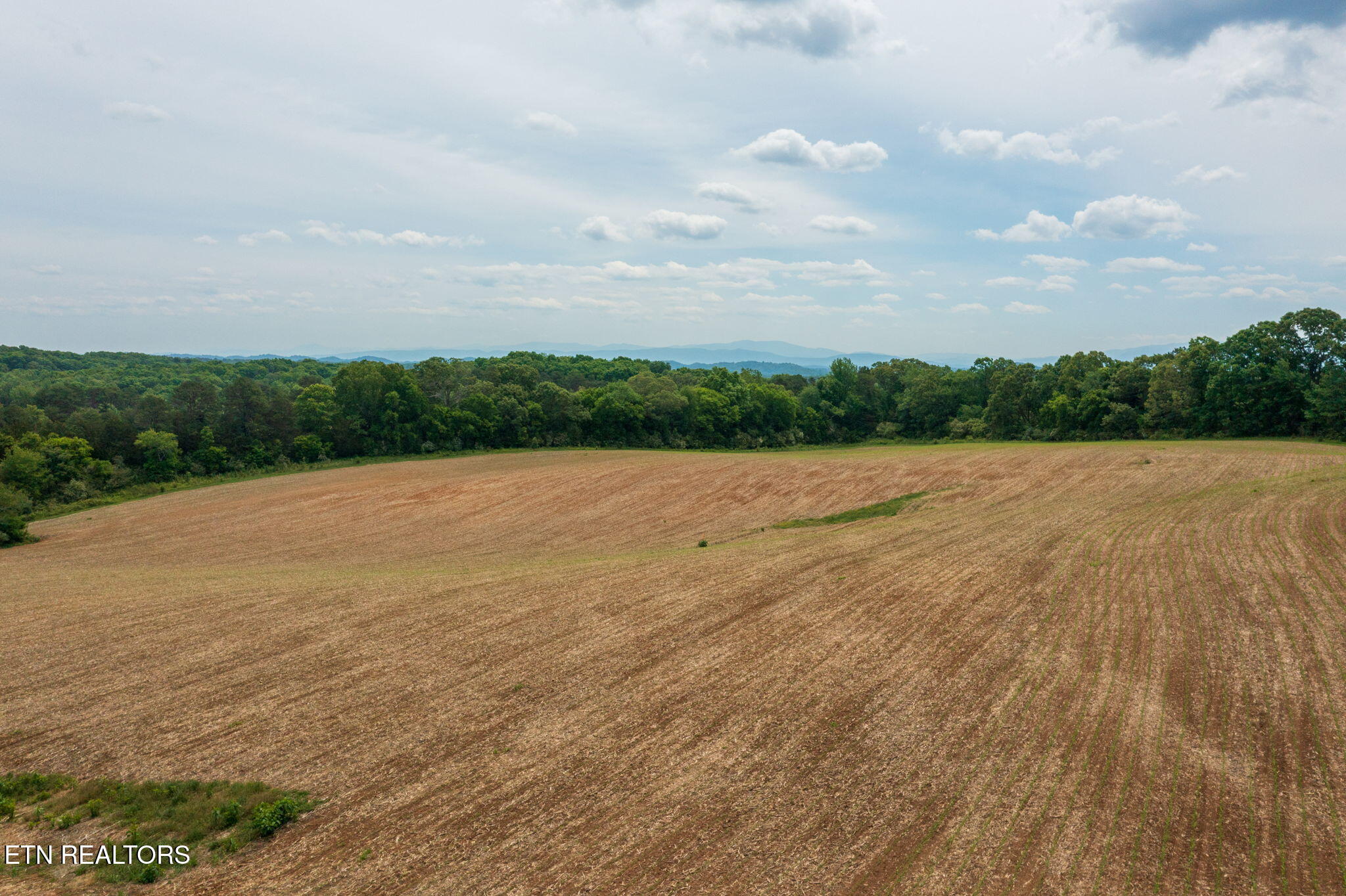 15370 Watson Road Loudon TN 37774