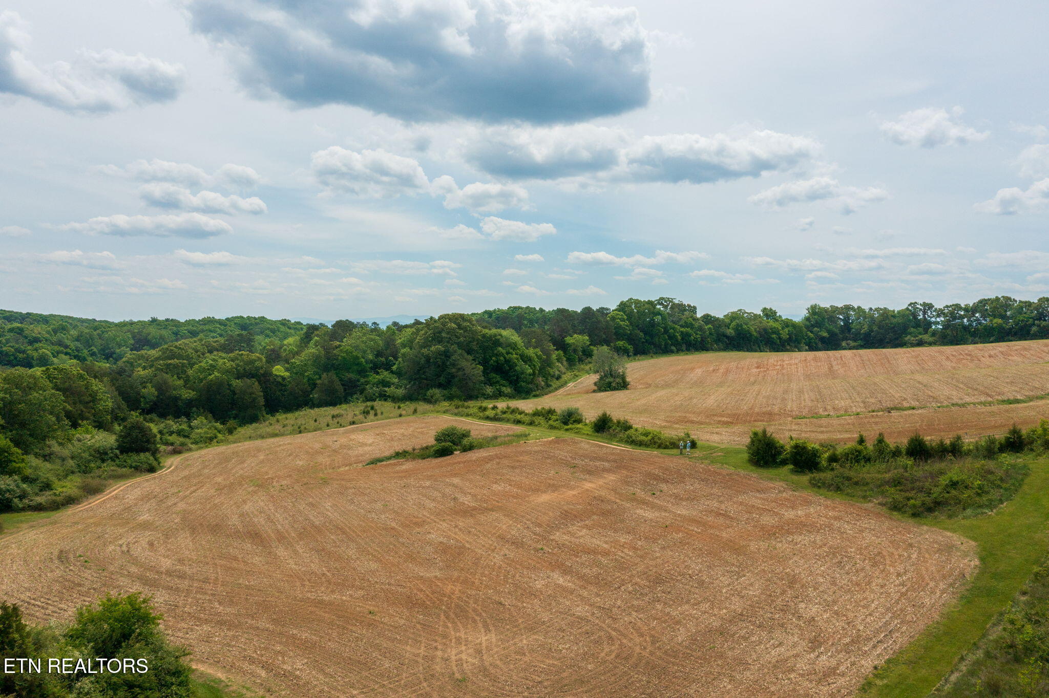 15370 Watson Road Loudon TN 37774