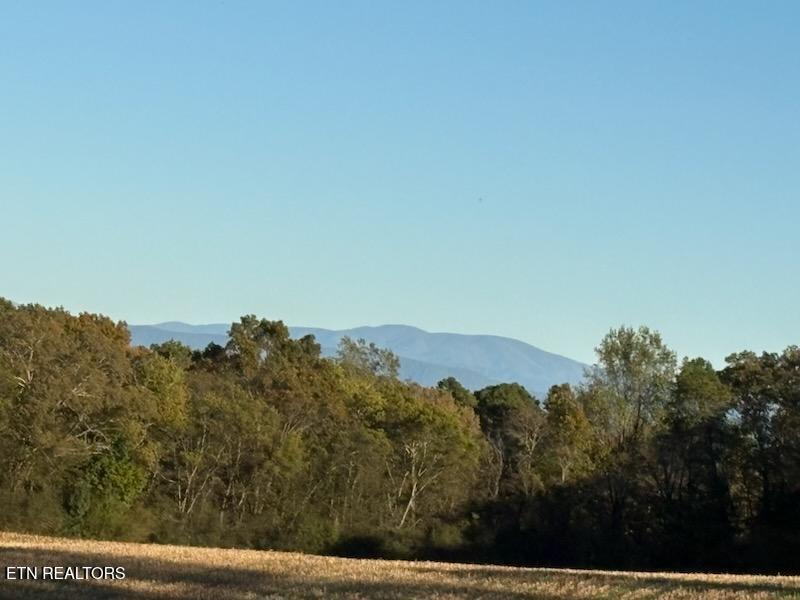 15370 Watson Road Loudon TN 37774