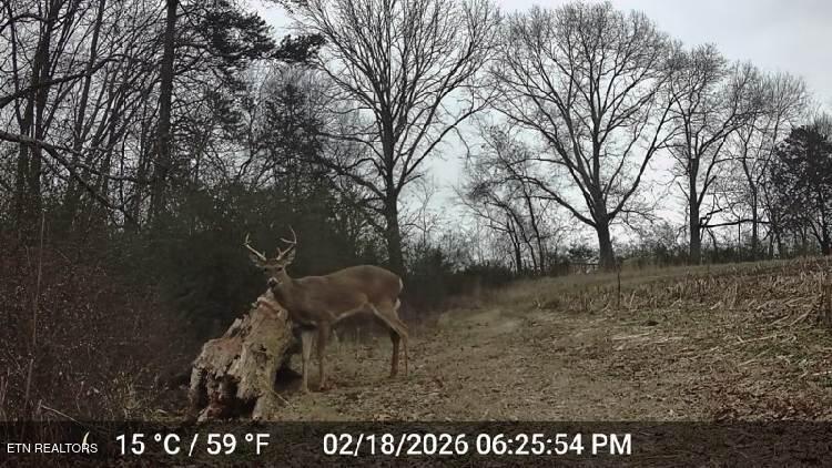 15370 Watson Road Loudon TN 37774