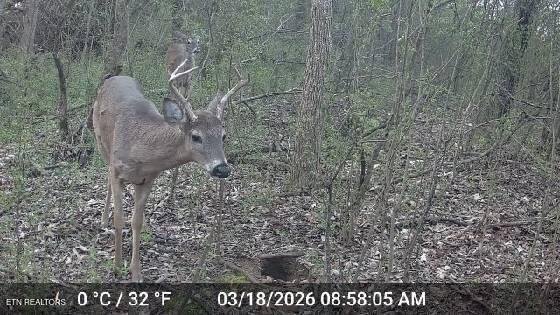 15370 Watson Road Loudon TN 37774