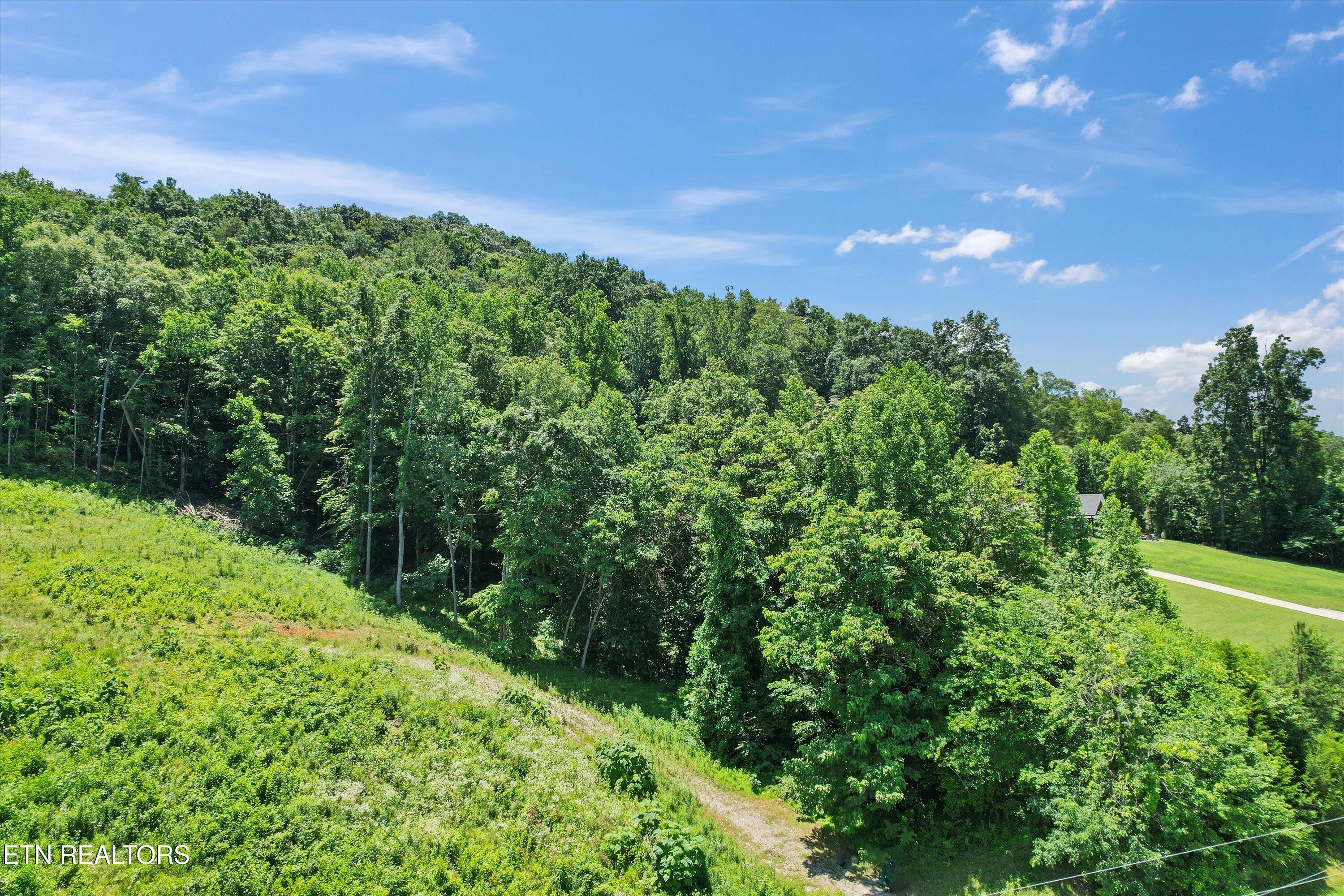 Hickory Pointe Lane Maynardville TN 37807