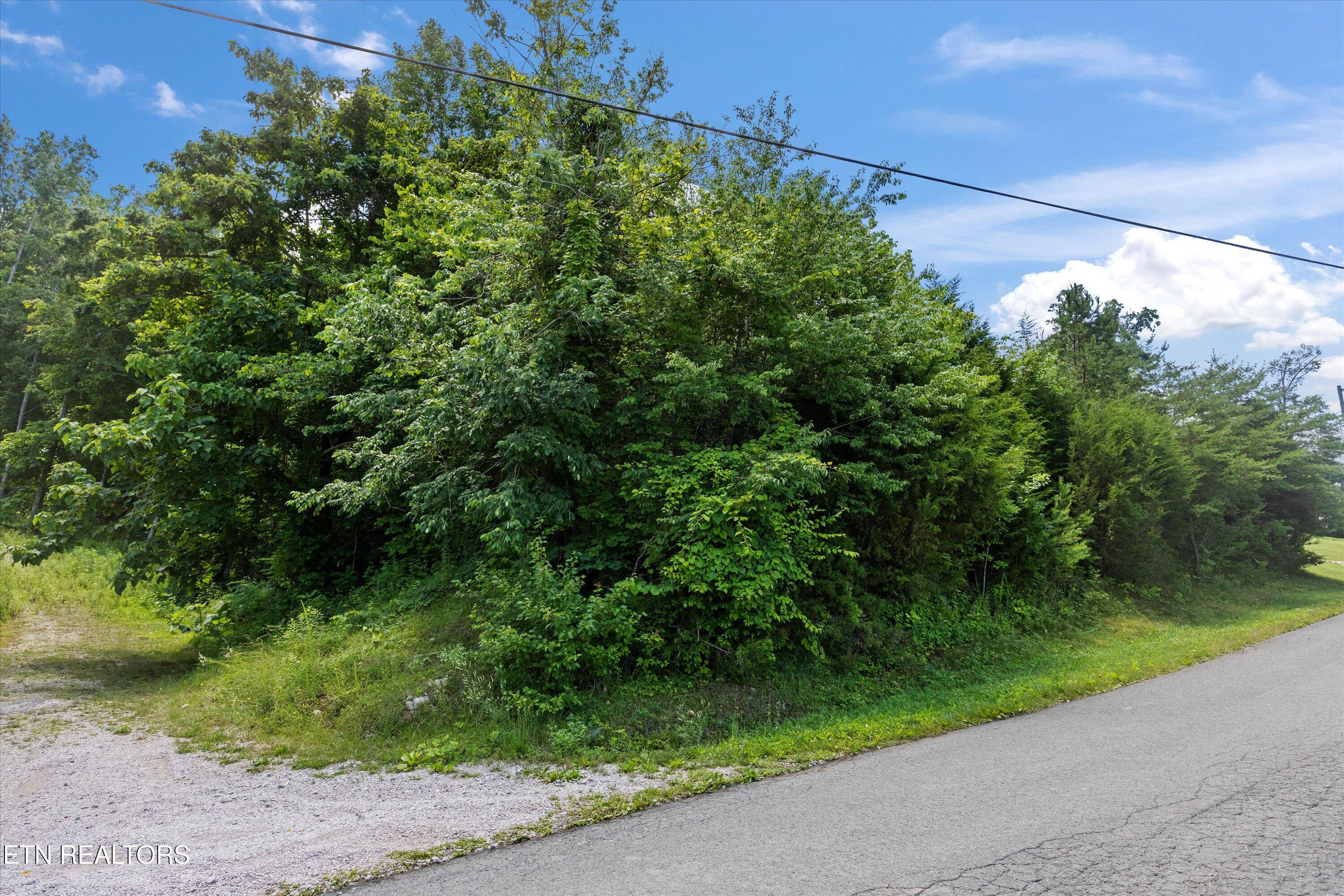 Hickory Pointe Lane Maynardville TN 37807