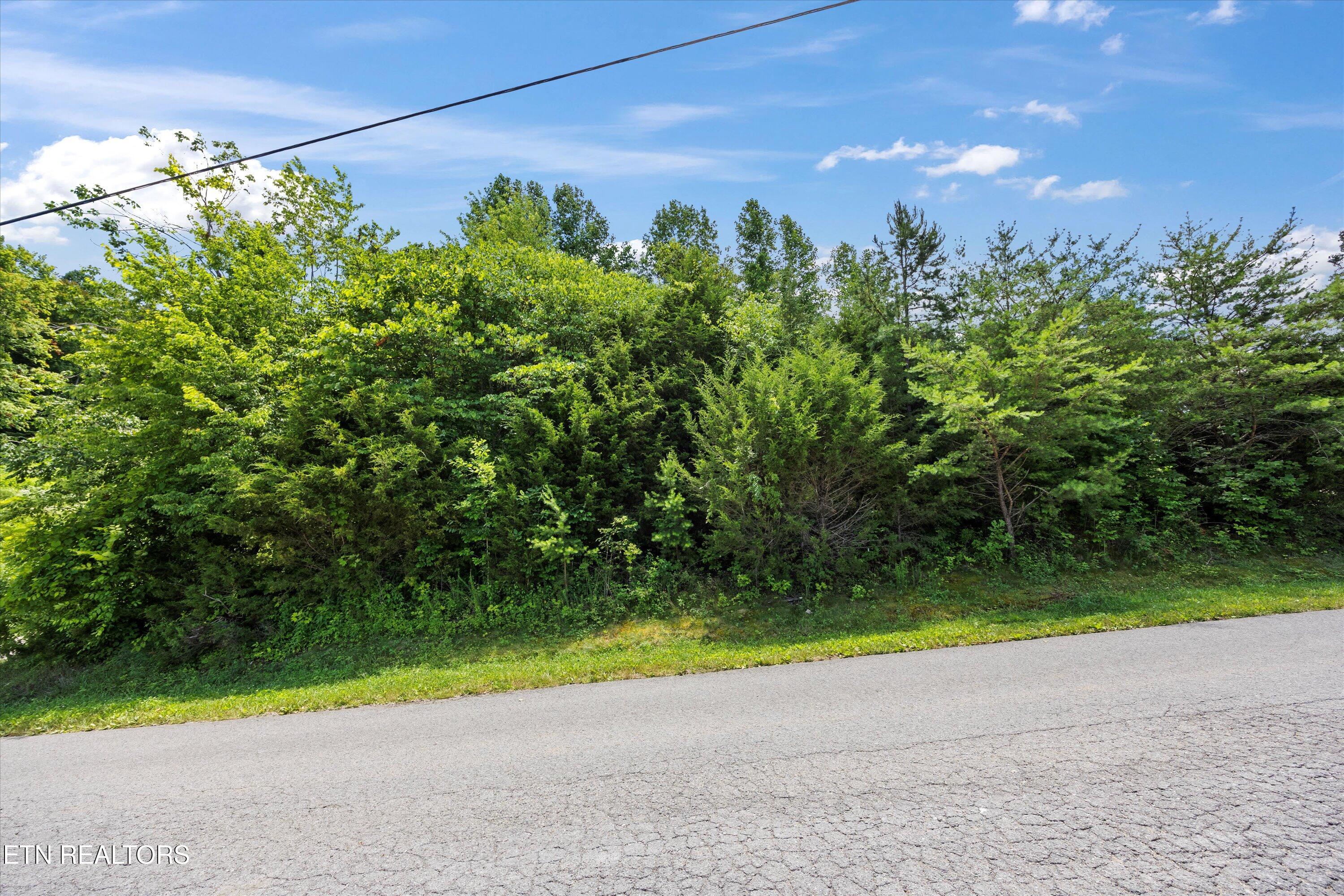 Hickory Pointe Lane Maynardville TN 37807