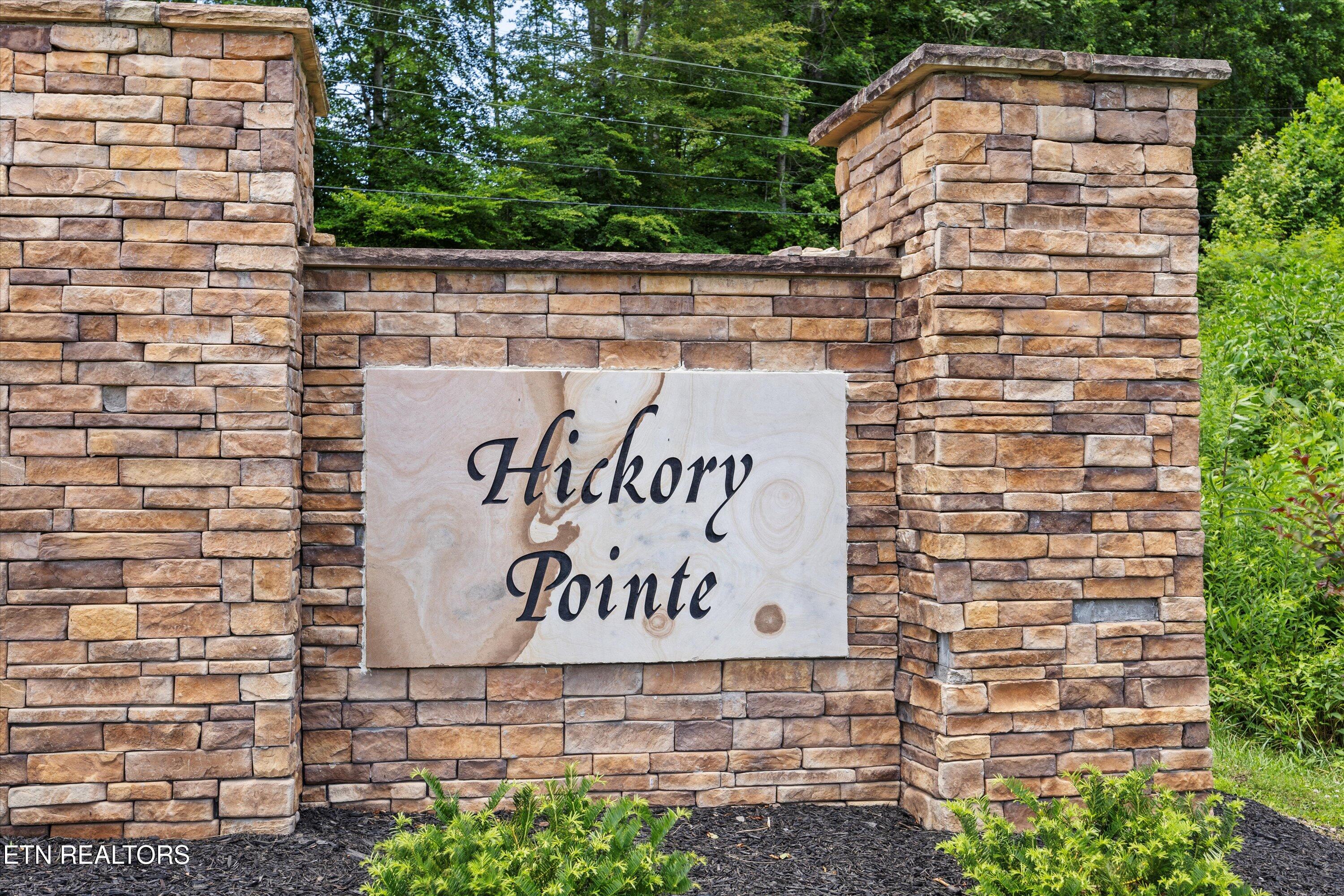 Hickory Pointe Lane Maynardville TN 37807