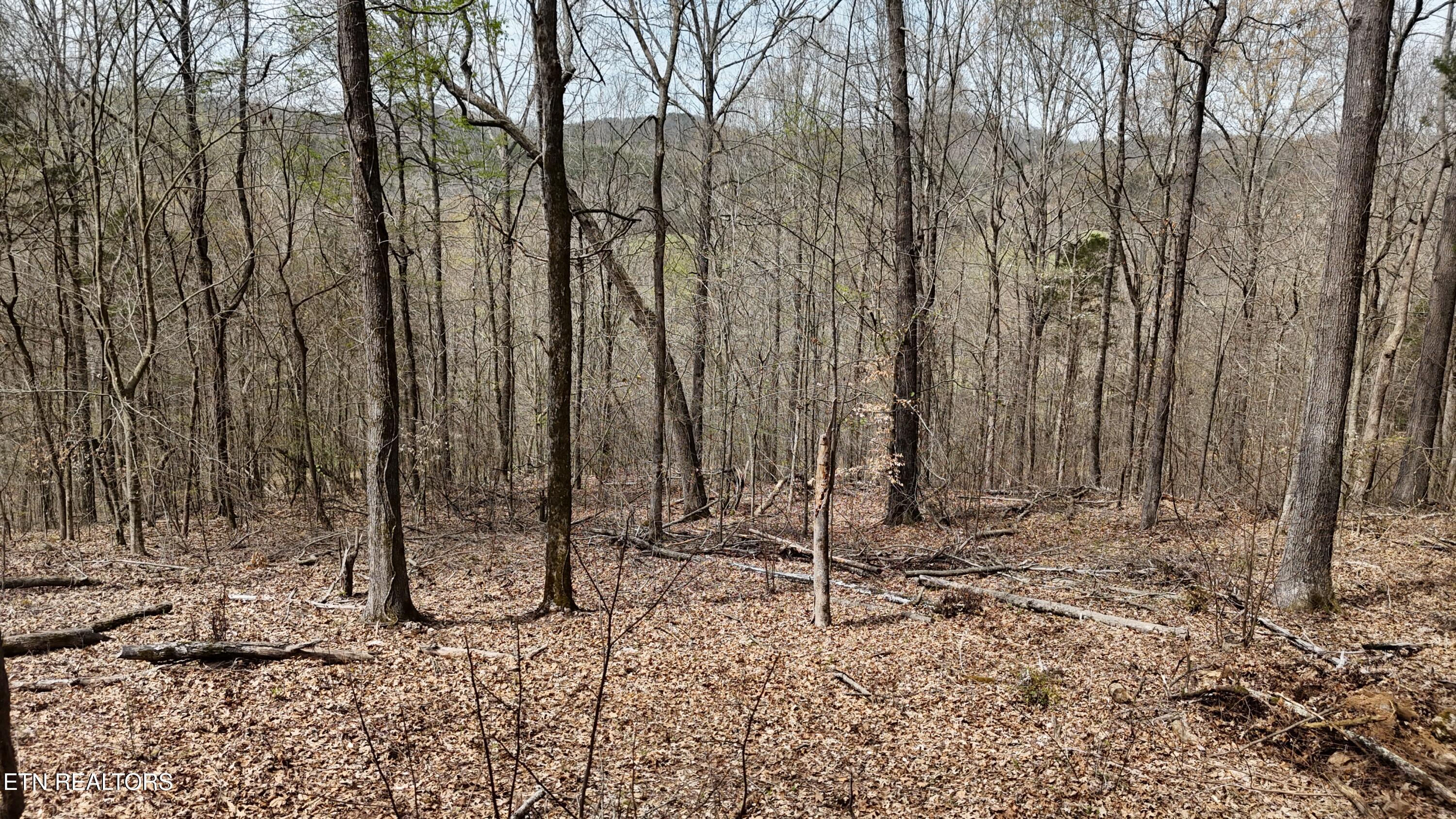 000 Geren Subd Lane Decatur TN 37322