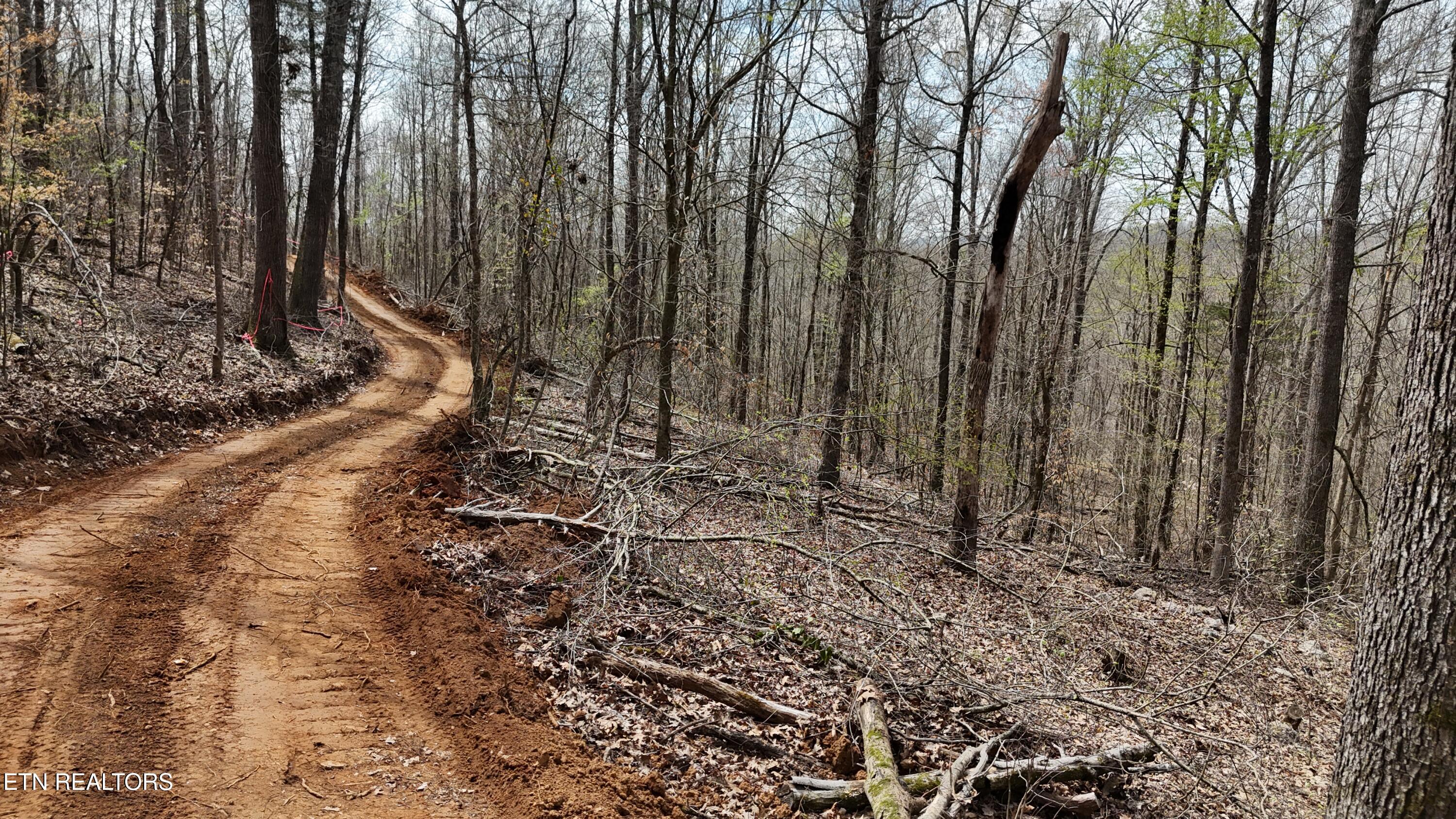 000 Geren Subd Lane Decatur TN 37322