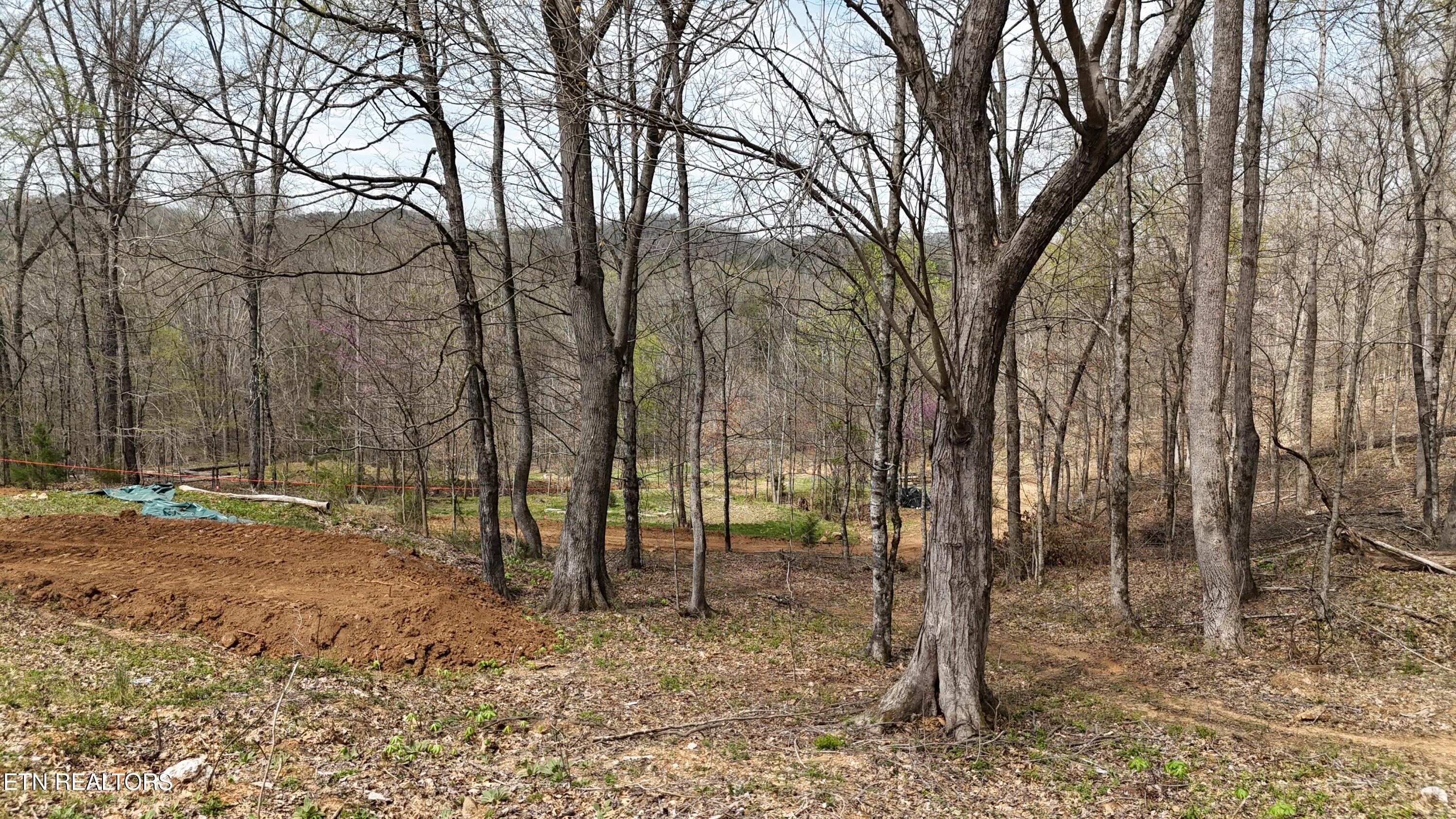 000 Geren Subd Lane Decatur TN 37322