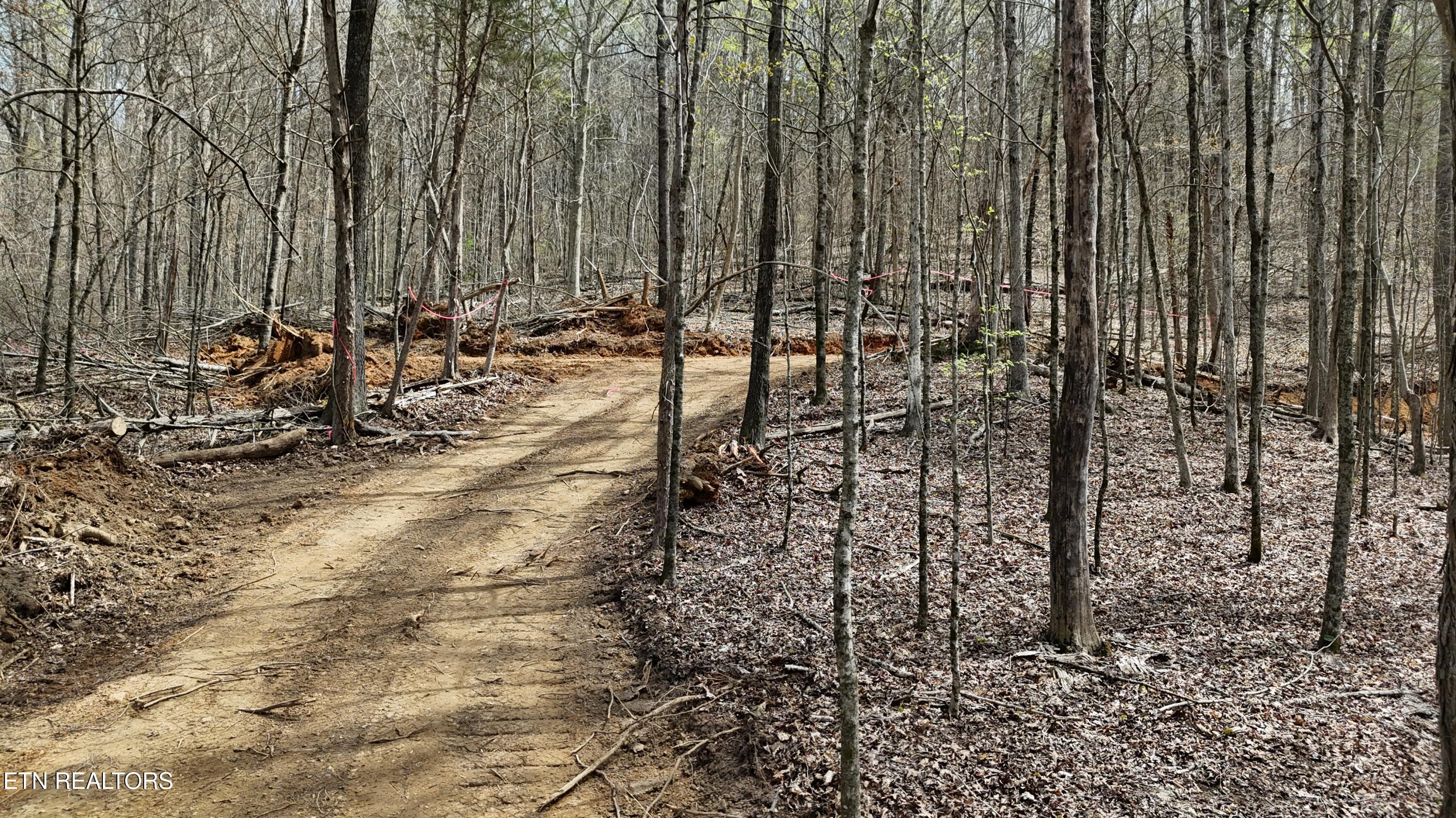 000 Geren Subd Lane Decatur TN 37322
