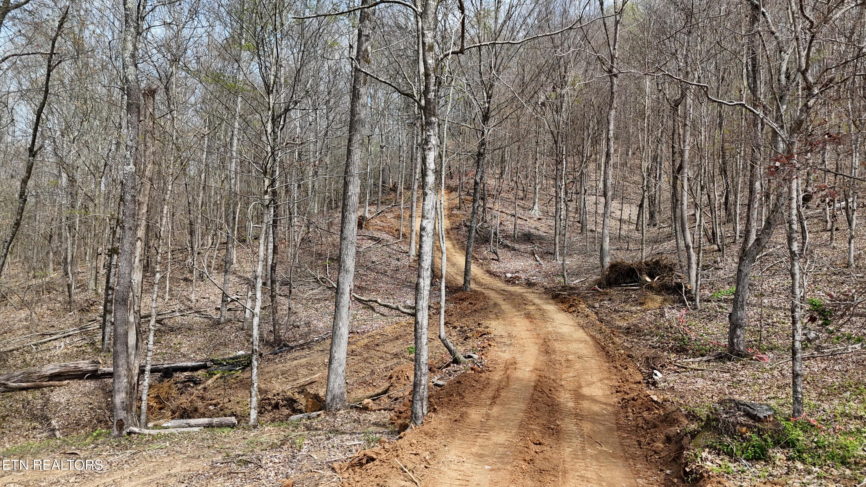000 Geren Subd Lane Decatur TN 37322