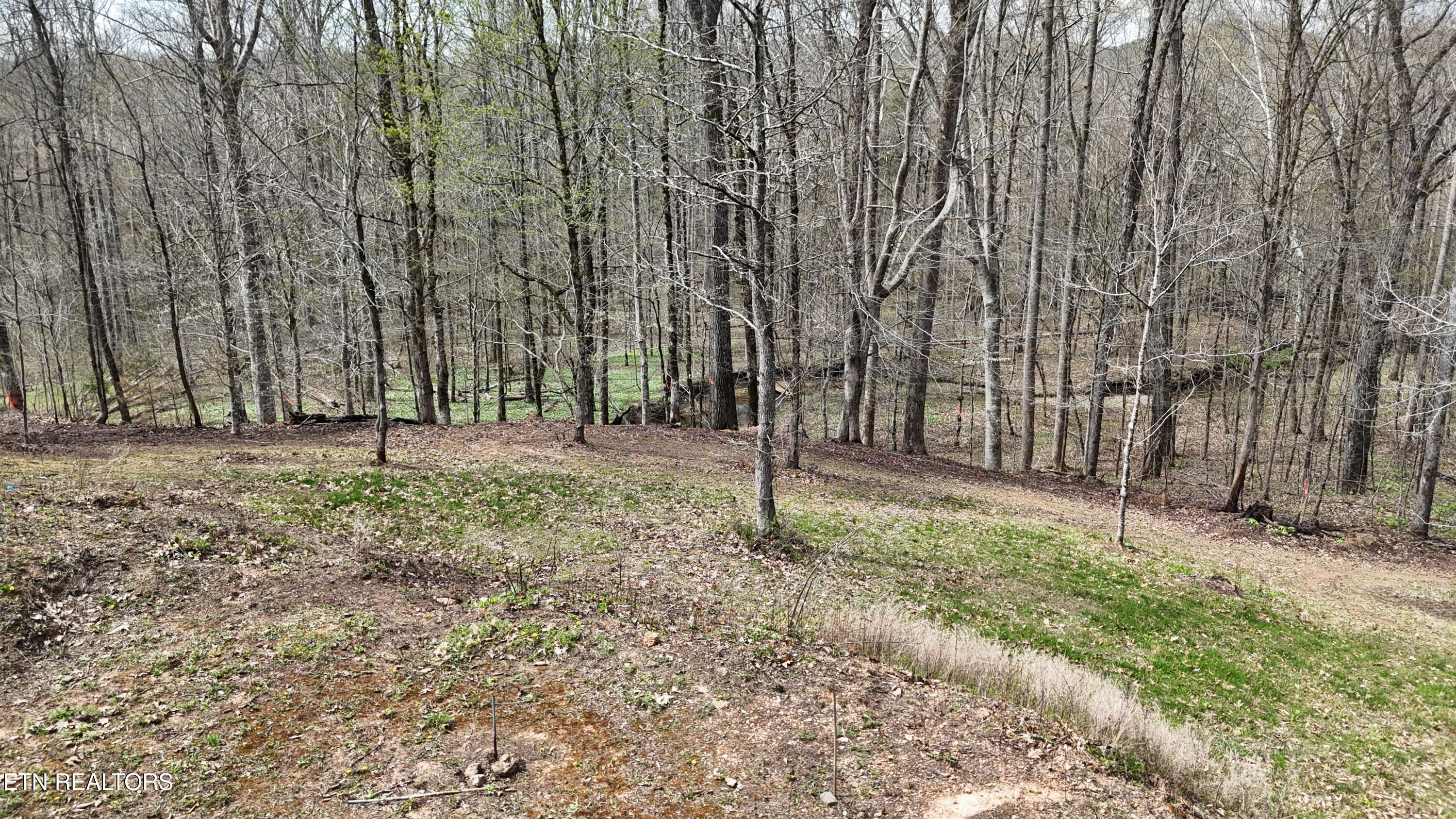 000 Geren Subd Lane Decatur TN 37322