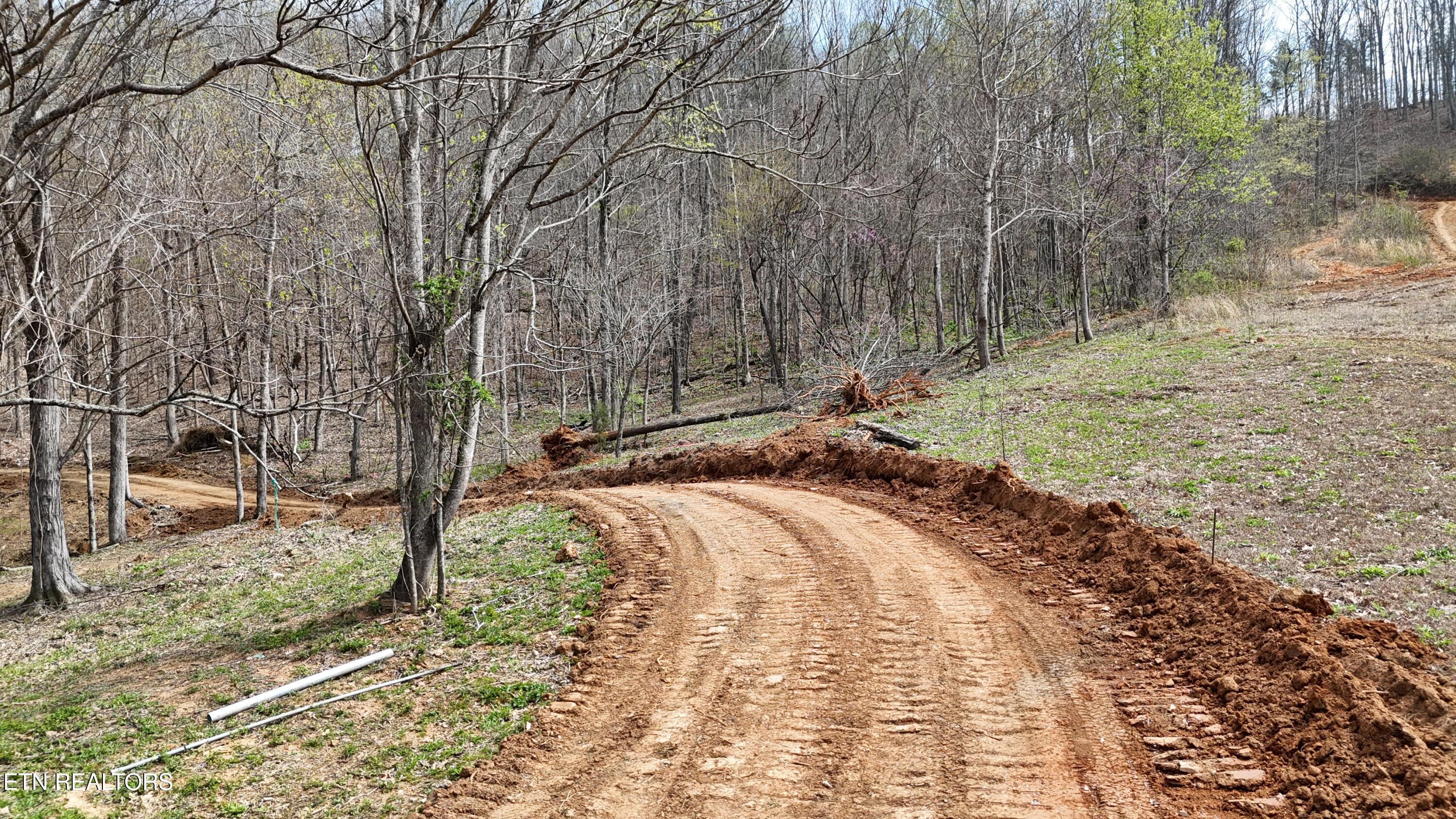 000 Geren Subd Lane Decatur TN 37322
