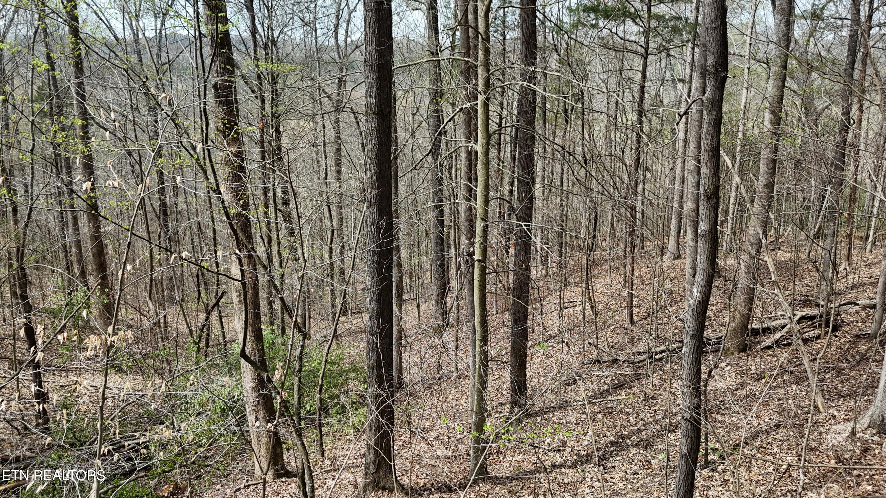 000 Geren Subd Lane Decatur TN 37322