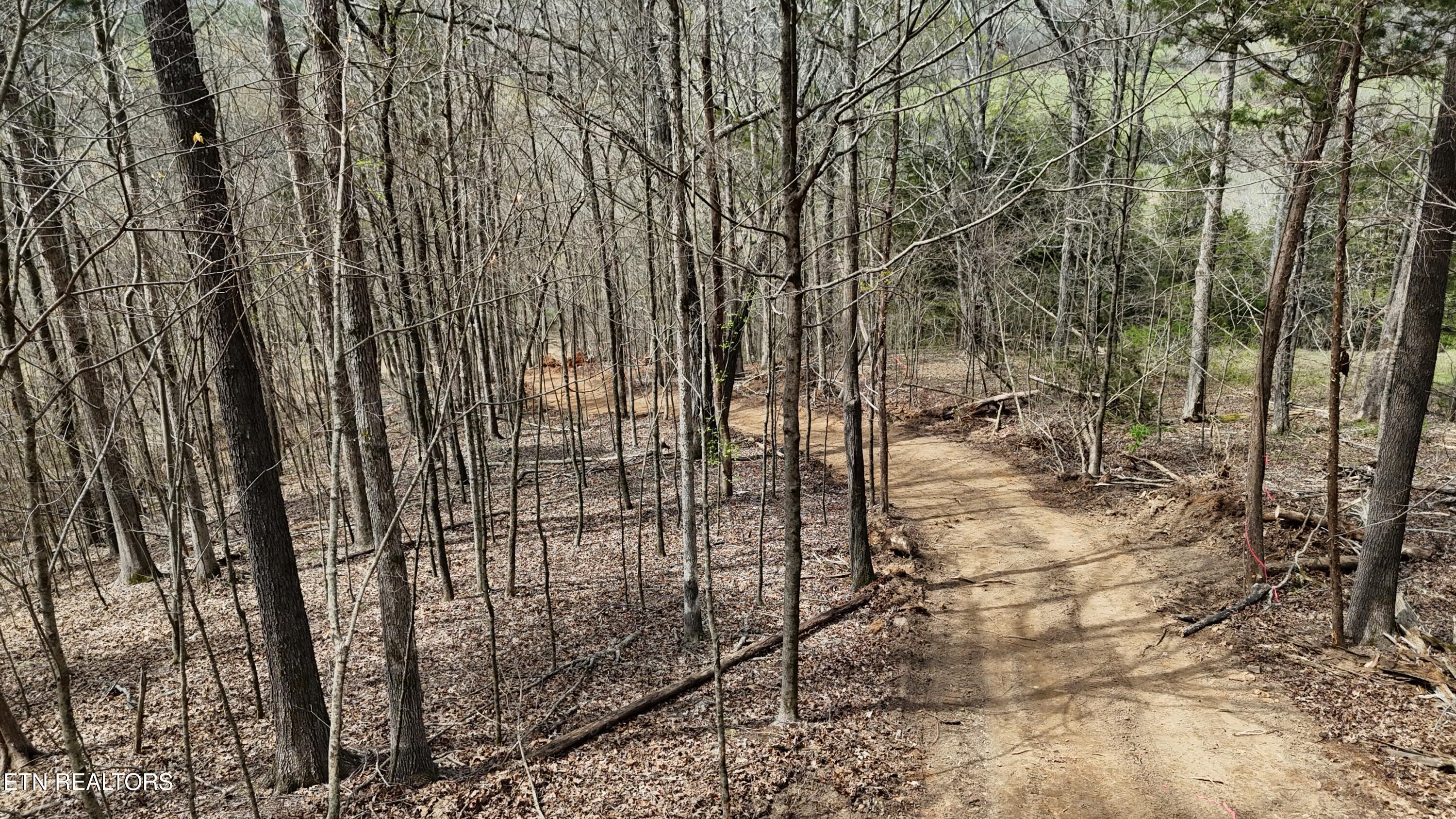 000 Geren Subd Lane Decatur TN 37322