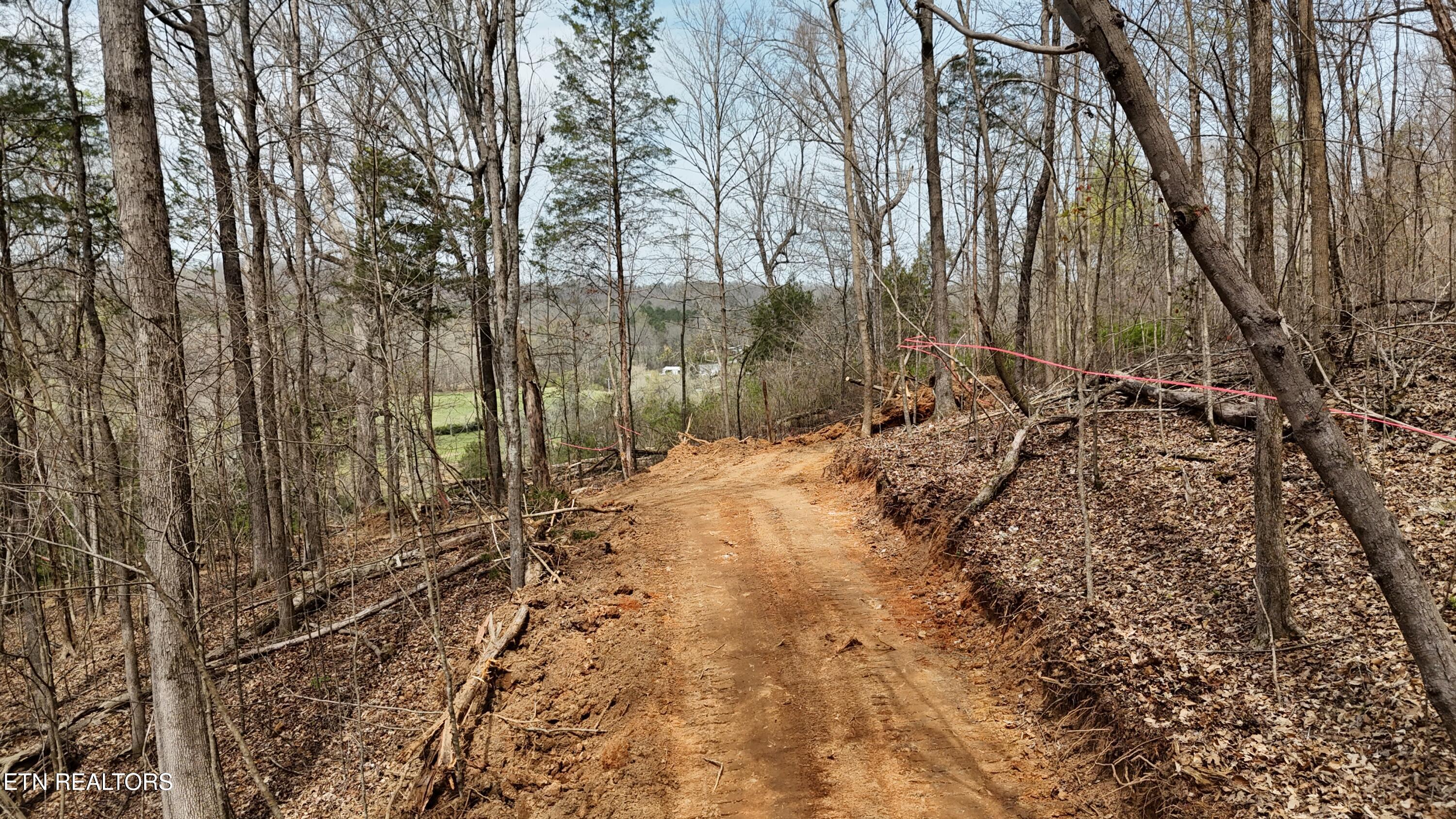 000 Geren Subd Lane Decatur TN 37322