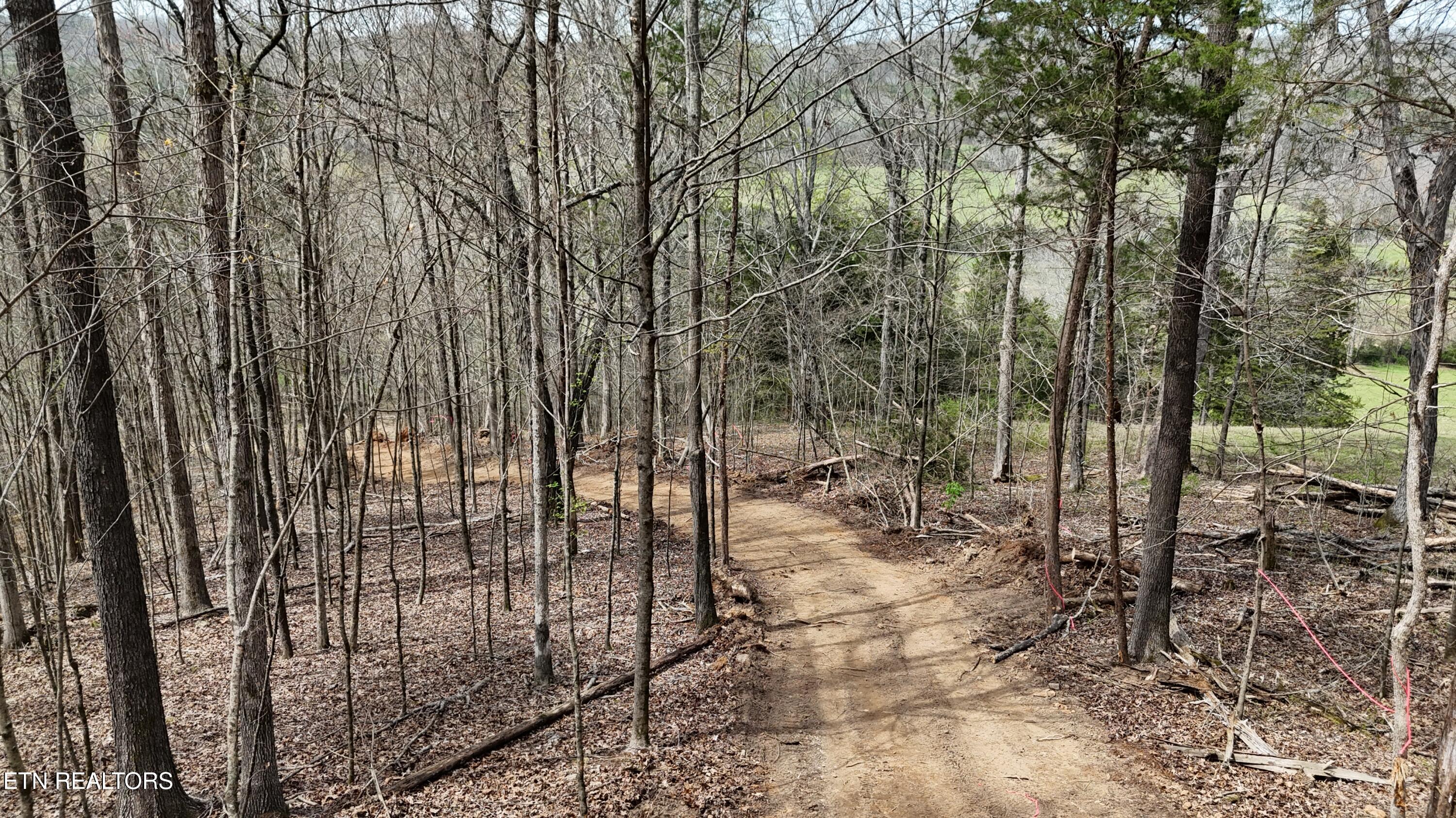 000 Geren Subd Lane Decatur TN 37322
