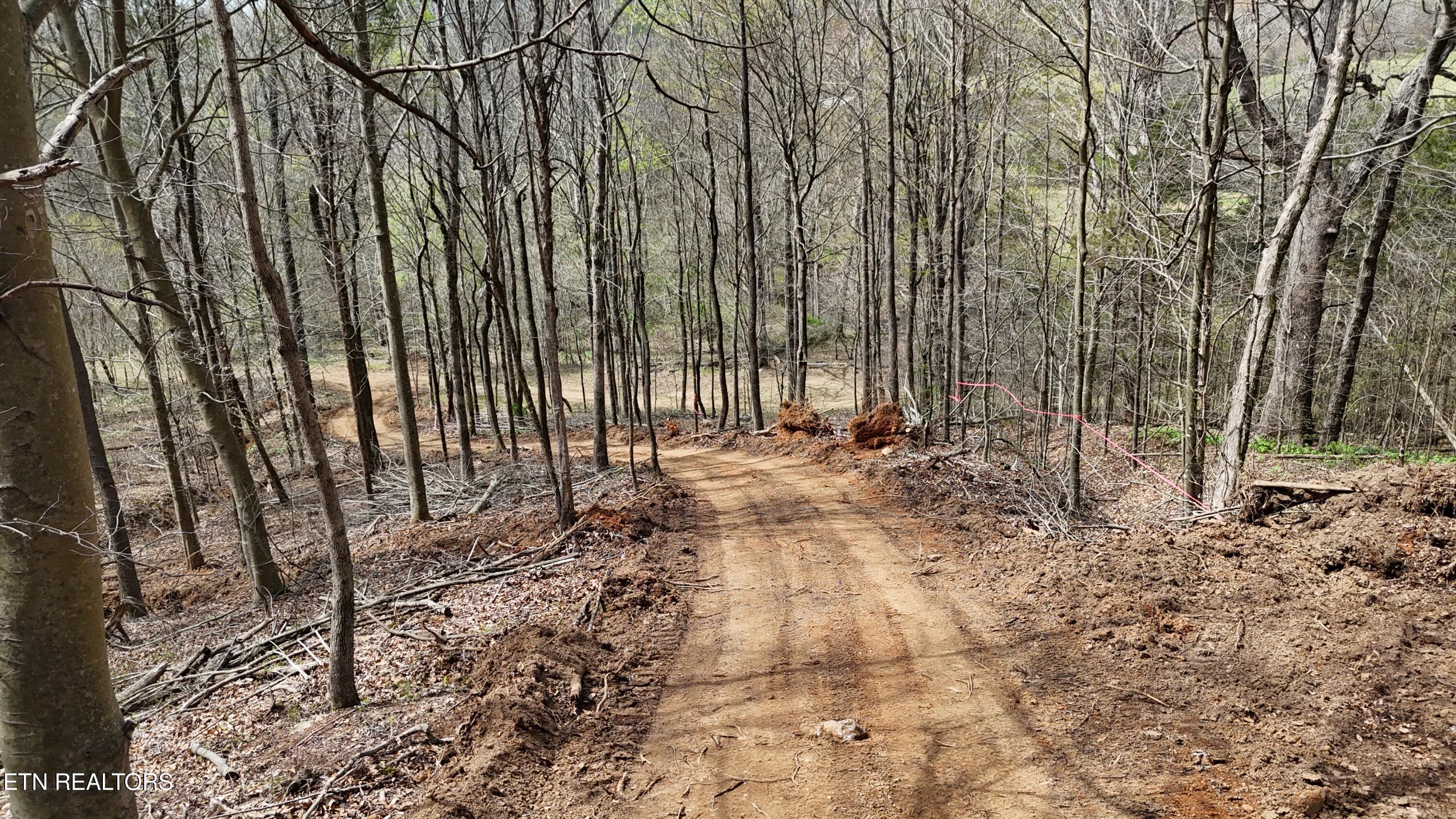 000 Geren Subd Lane Decatur TN 37322