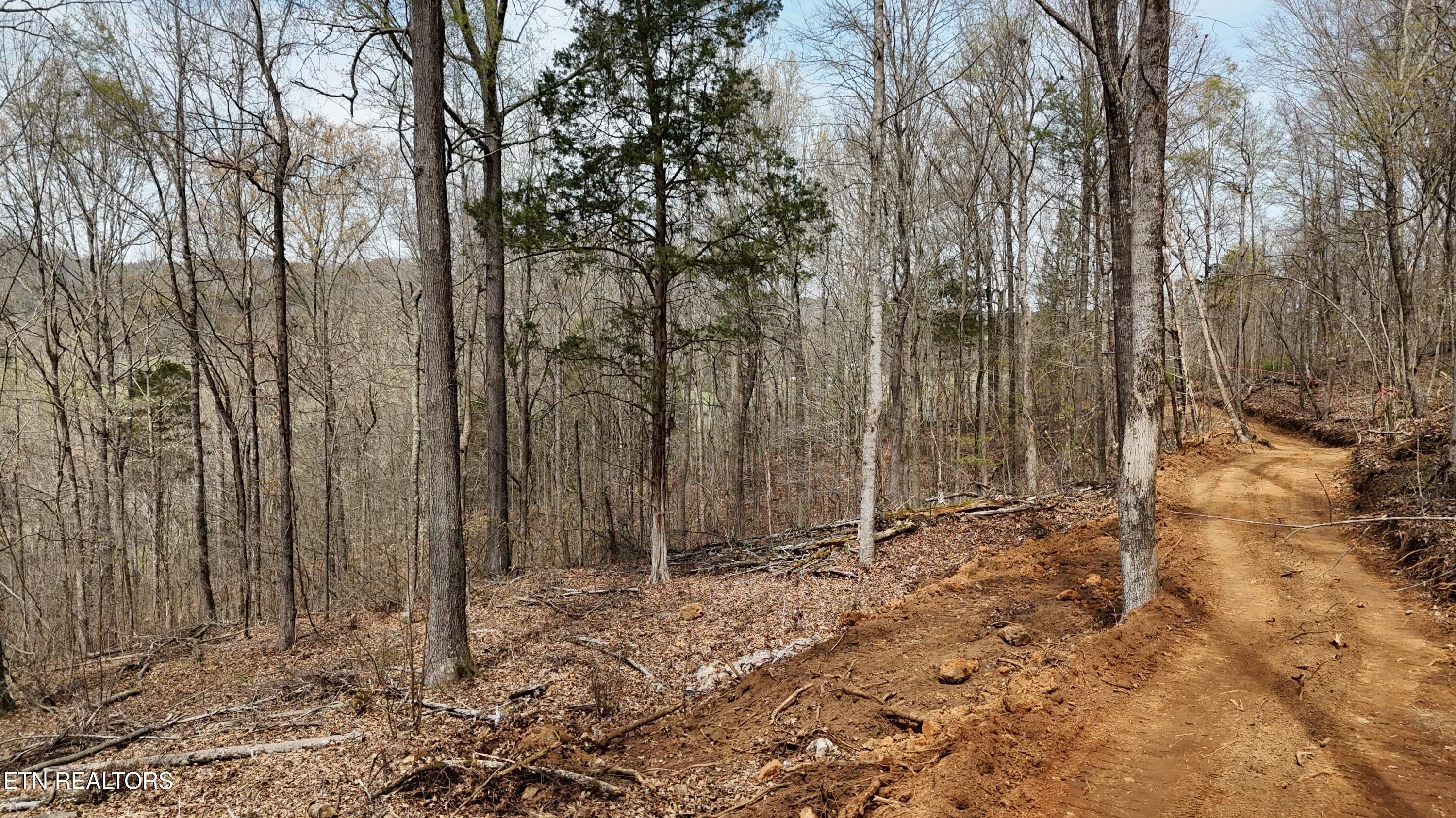 000 Geren Subd Lane Decatur TN 37322