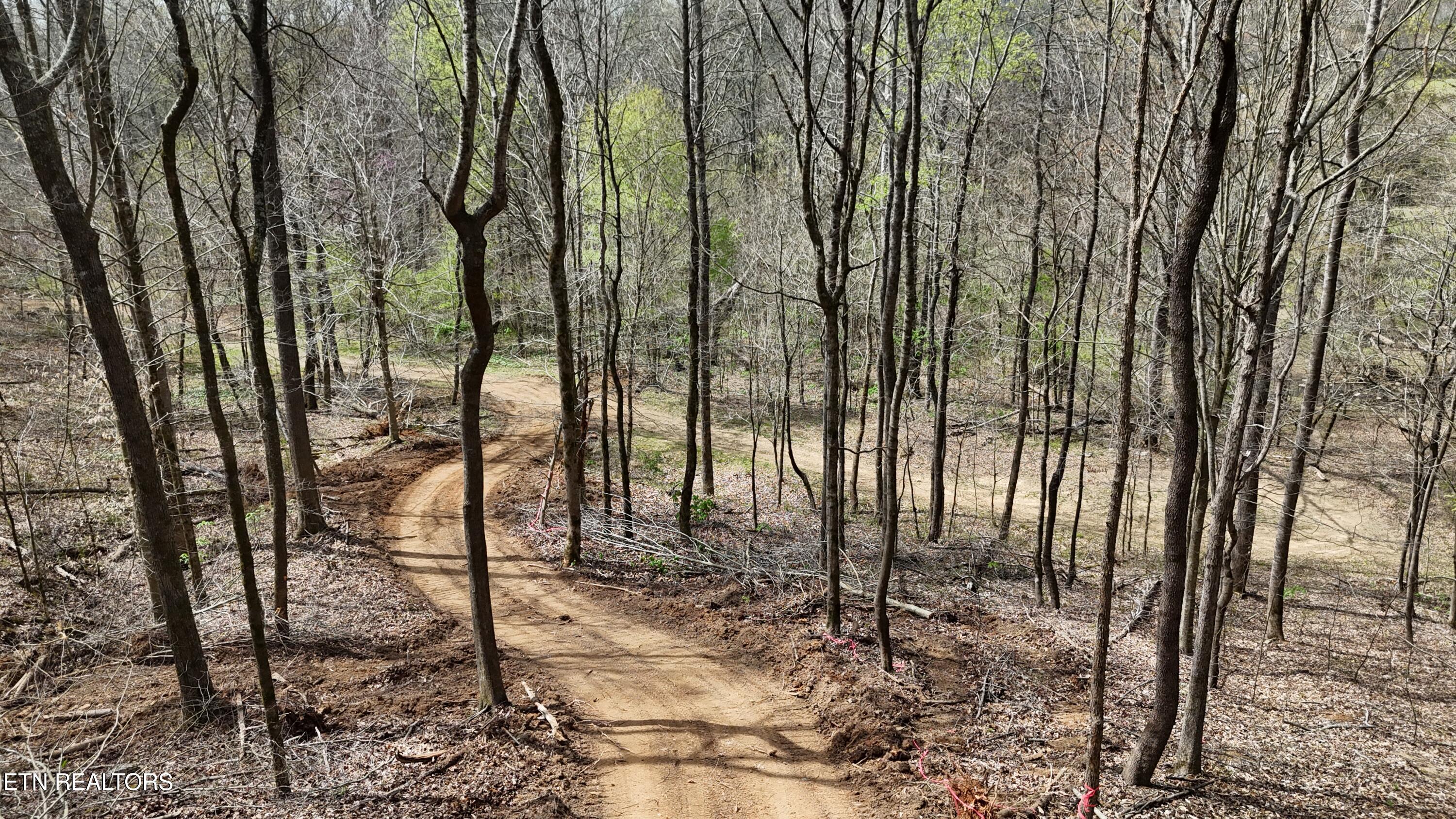 000 Geren Subd Lane Decatur TN 37322