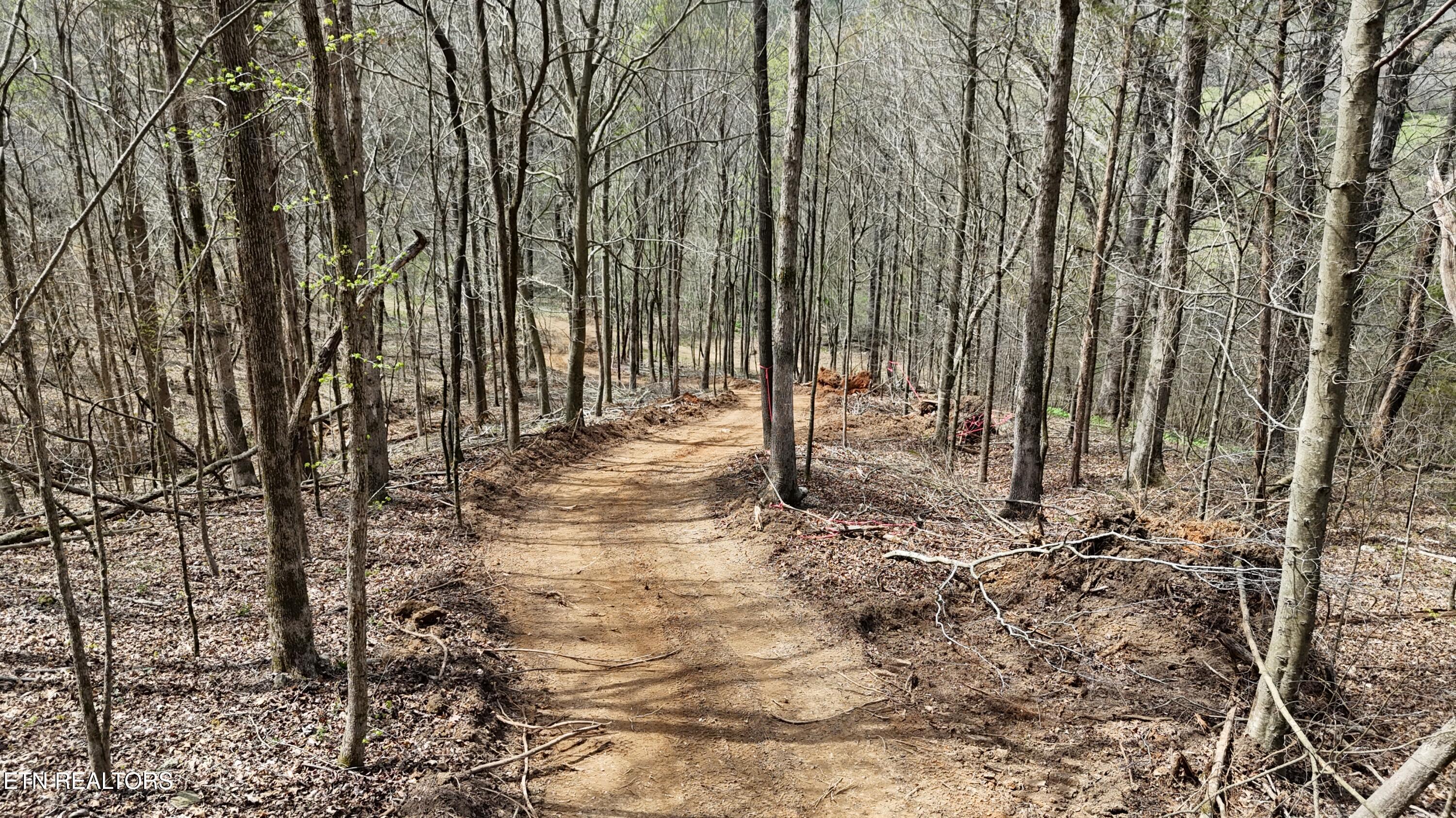 000 Geren Subd Lane Decatur TN 37322