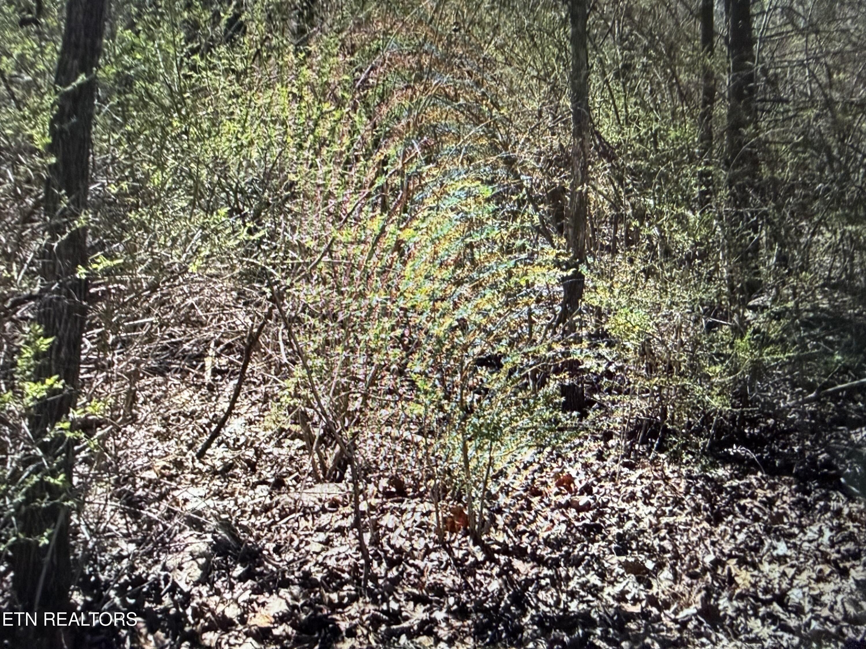 0 Tenth/knight Crossville TN 38555